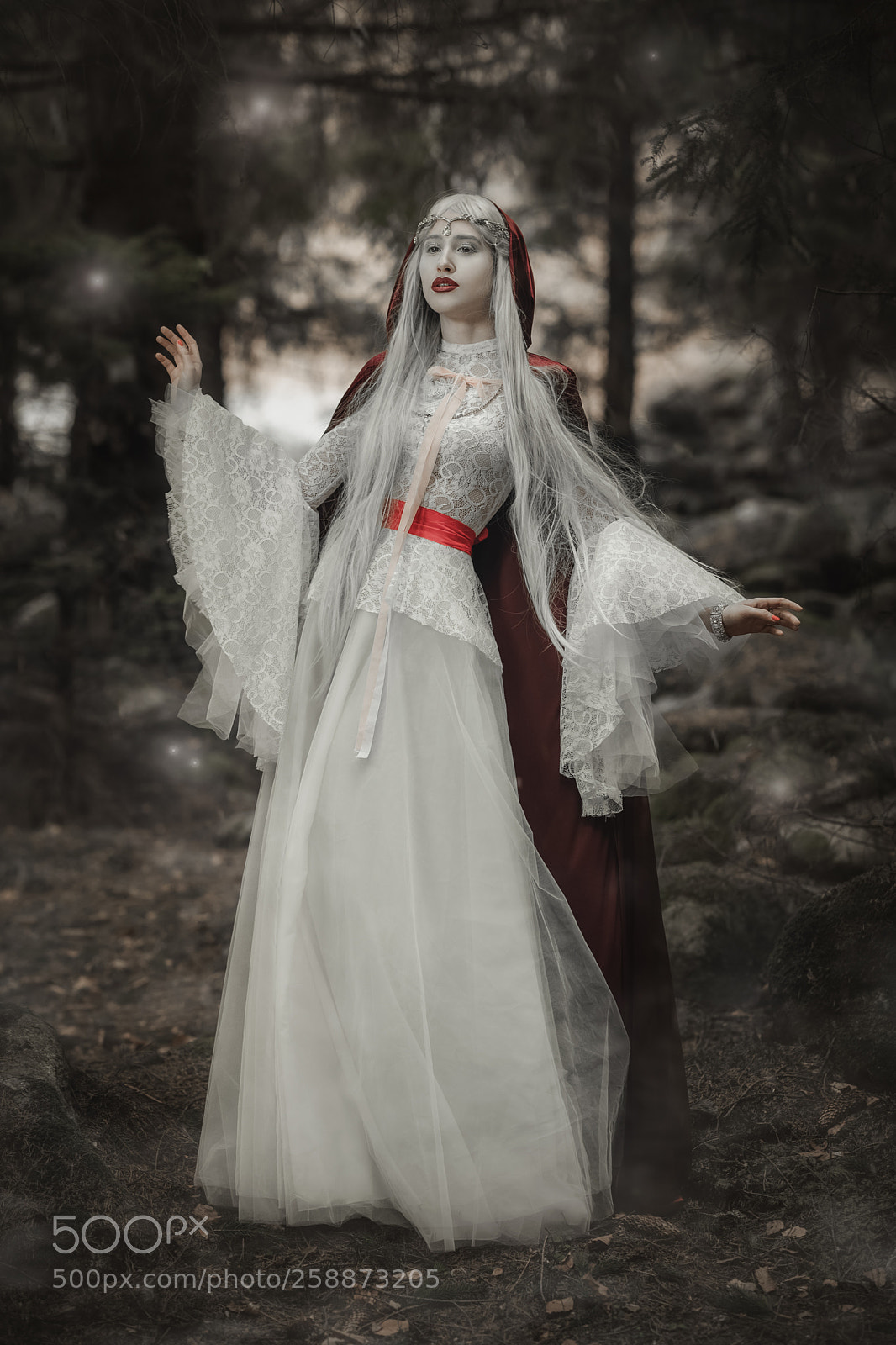 Nikon D850 sample photo. The mysteries of parallel photography