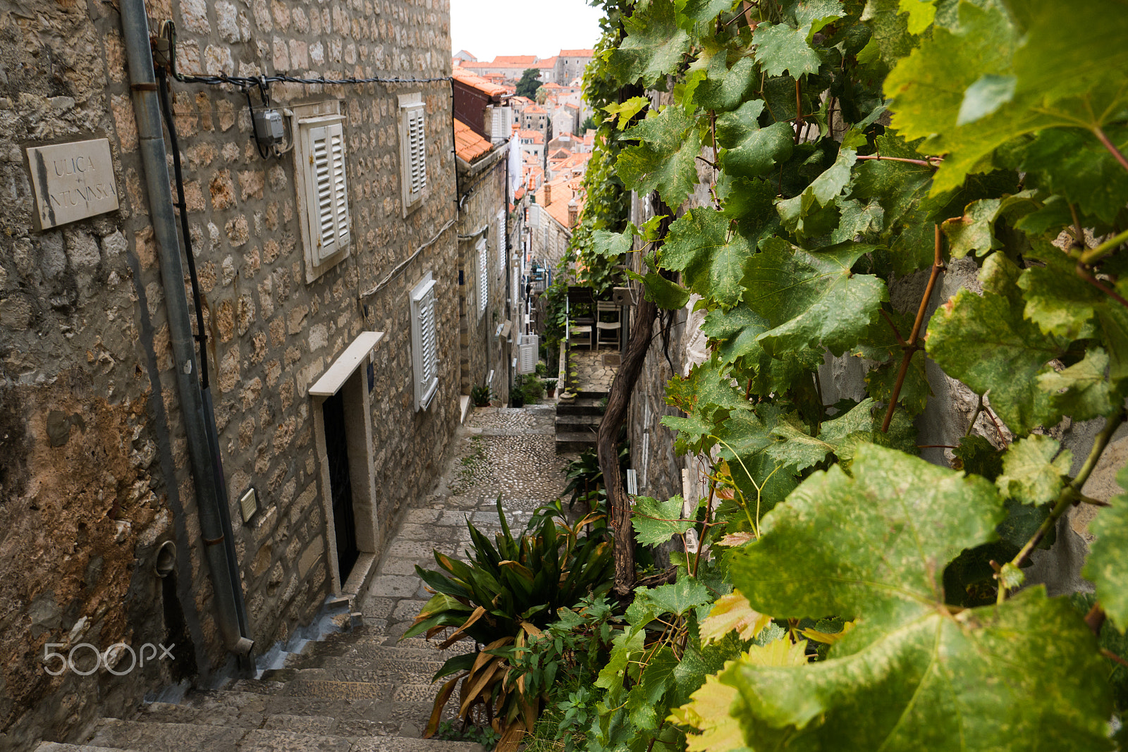 Panasonic DMC-G81 sample photo. Dubrovnik's old town has many stairs photography