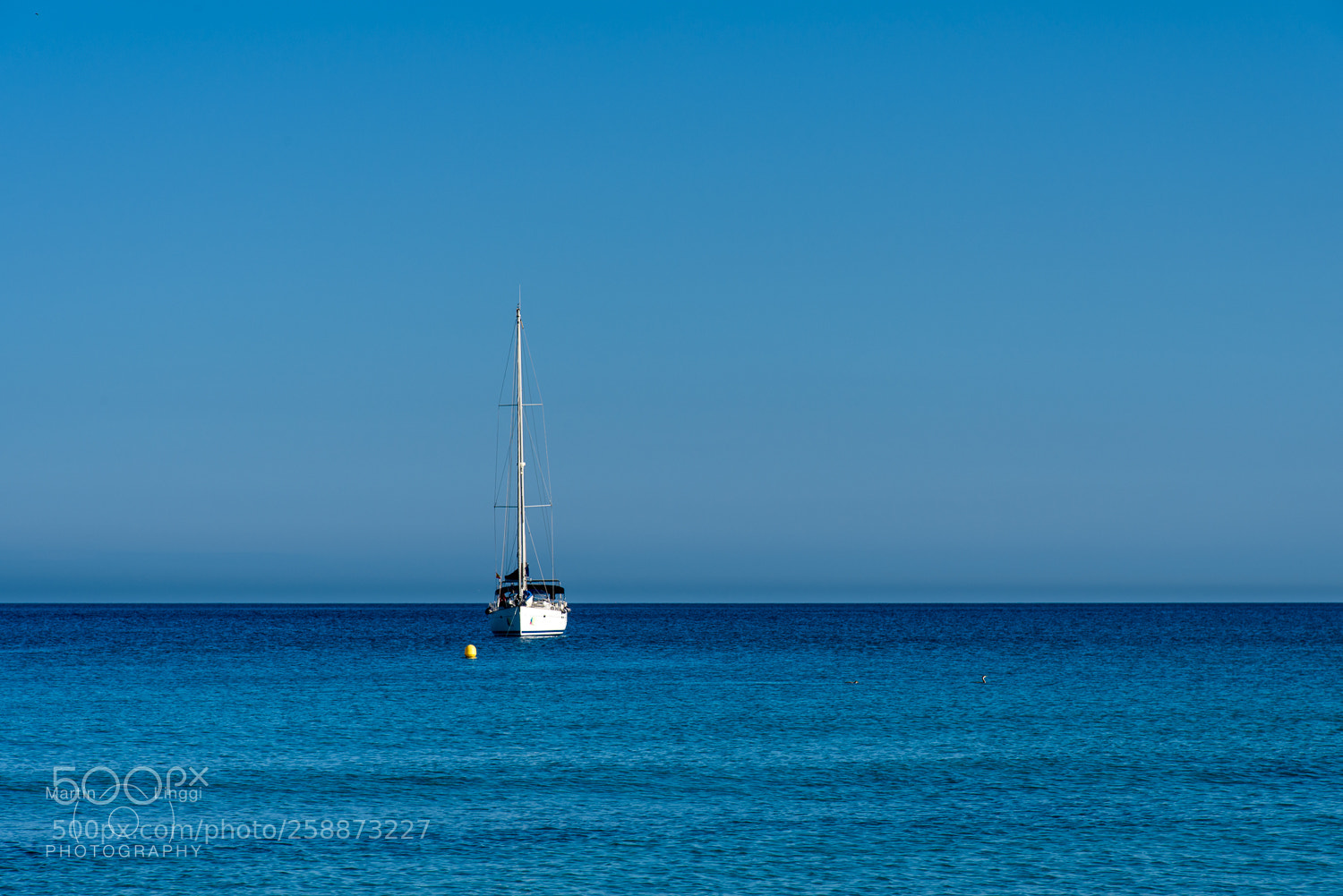 Nikon D750 sample photo. Relax photography