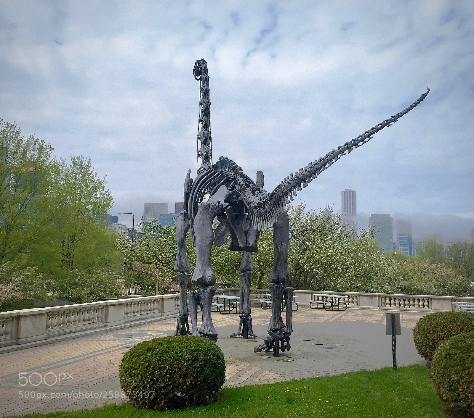 Apple iPhone 6 sample photo. Dinosaur looking at foggy photography