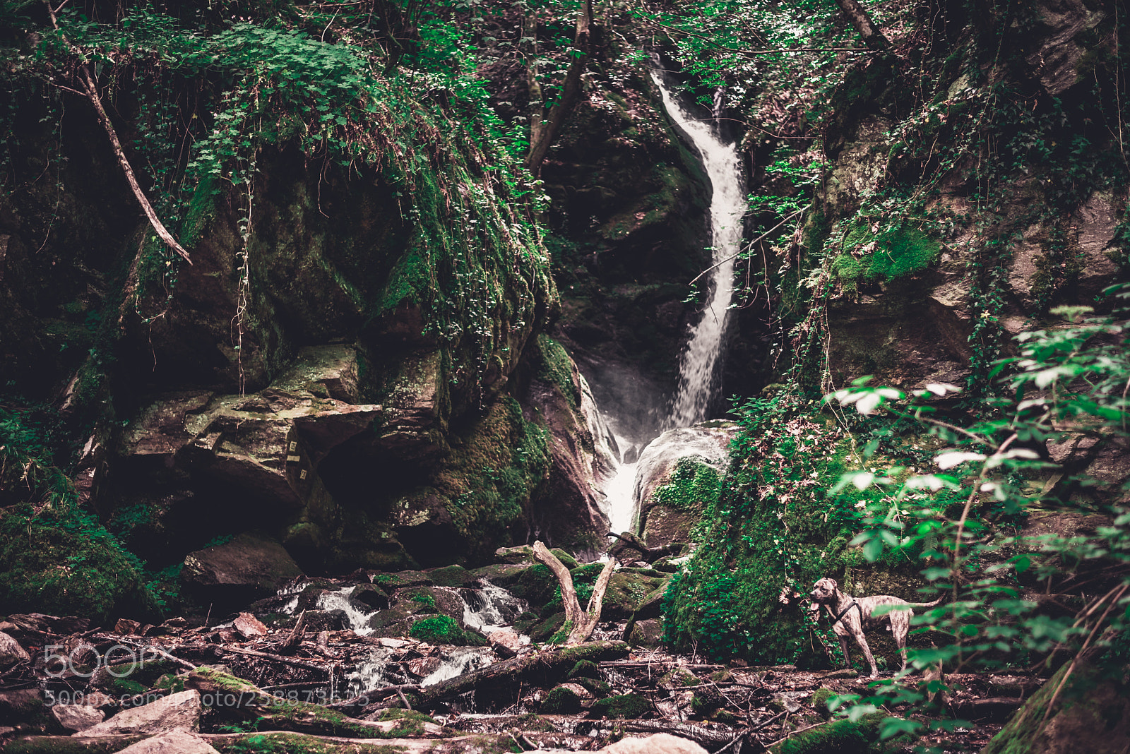 Nikon D750 sample photo. The explorer photography