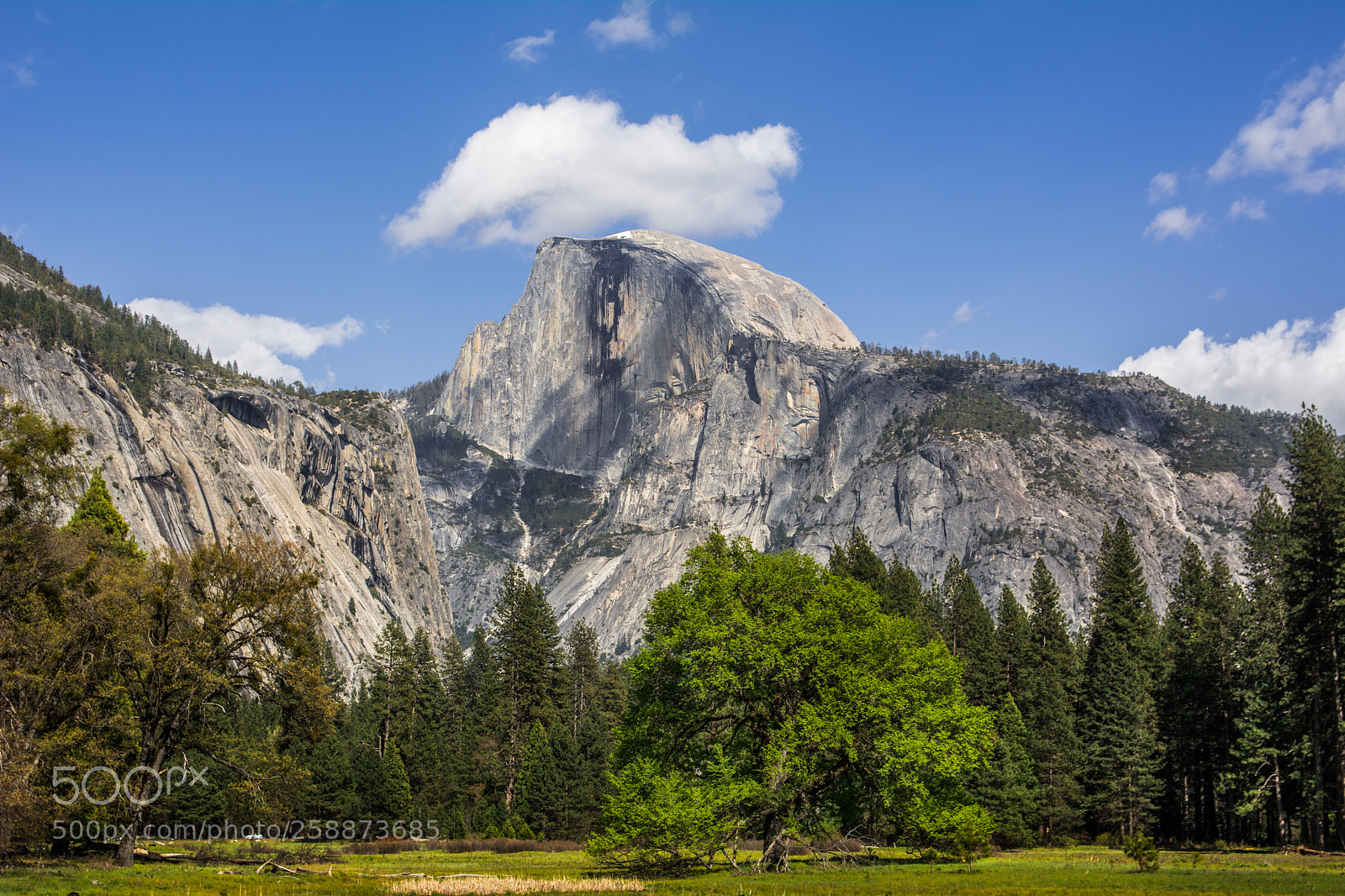 Nikon D7100 sample photo. El capitan photography