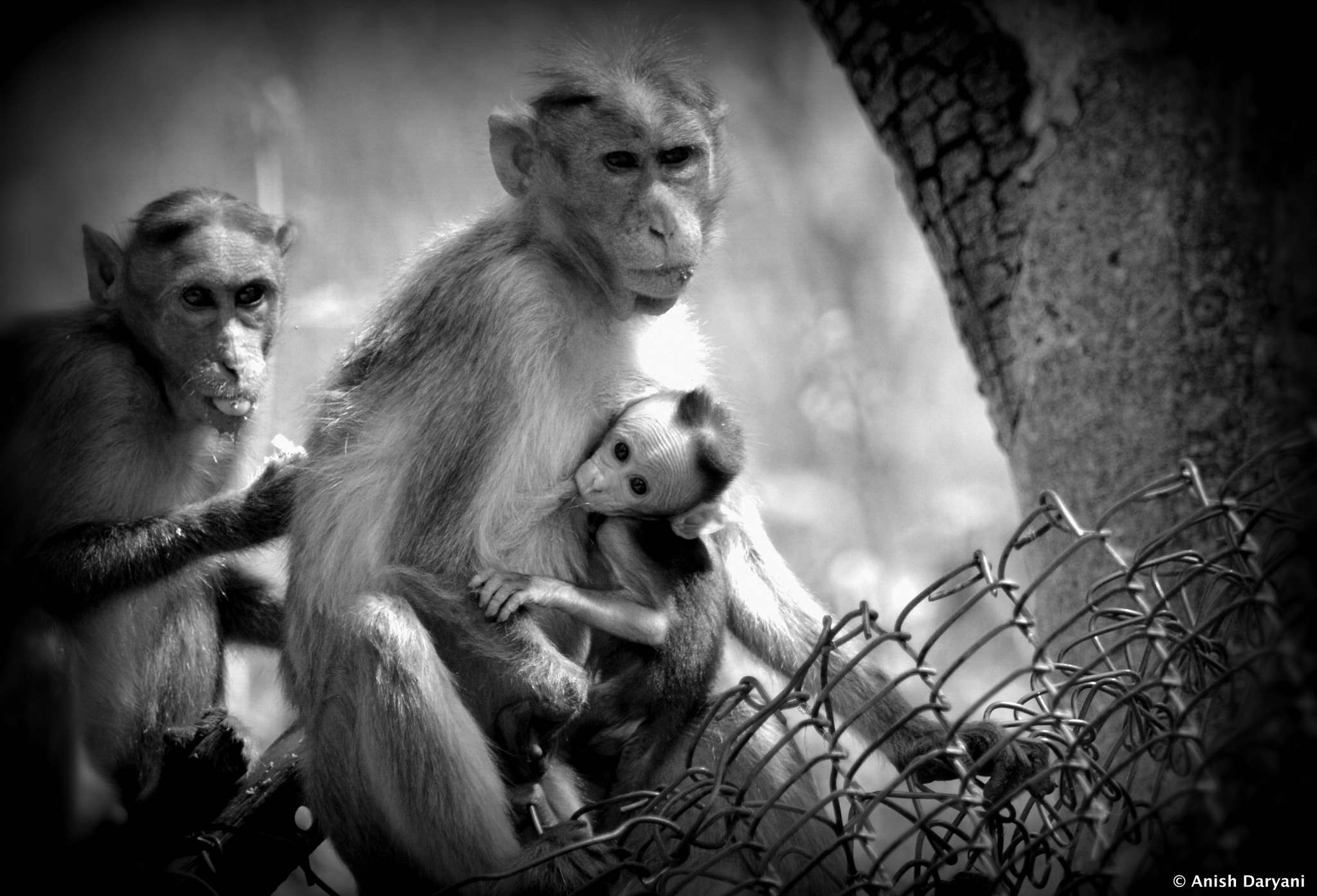 Nikon D5100 sample photo. Infant thirst photography