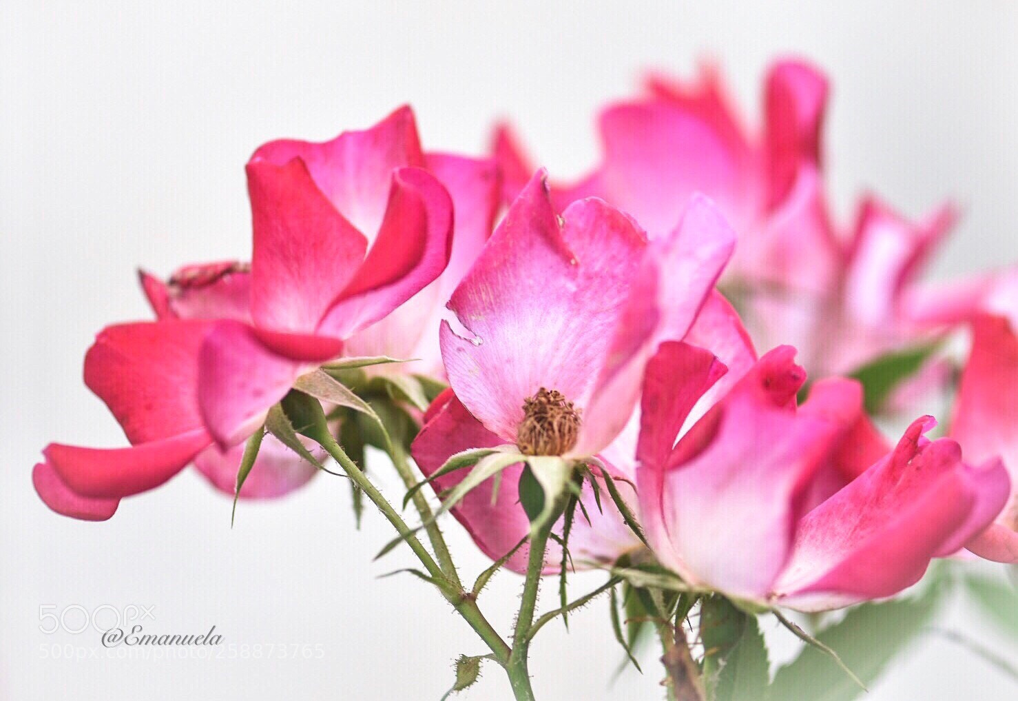 Nikon D7200 sample photo. Old fashion photography