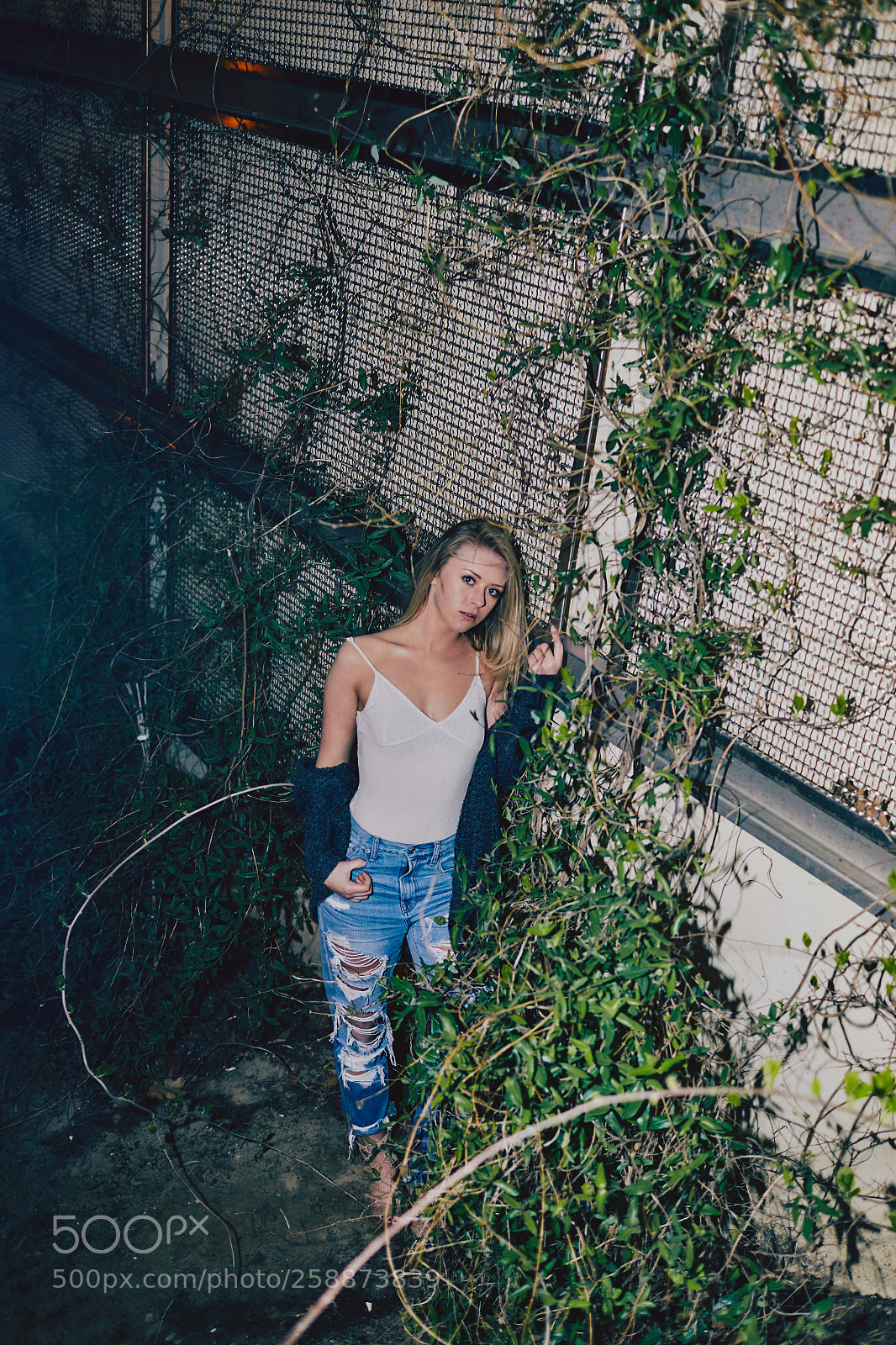 Canon EOS 6D sample photo. Taylor diane photography