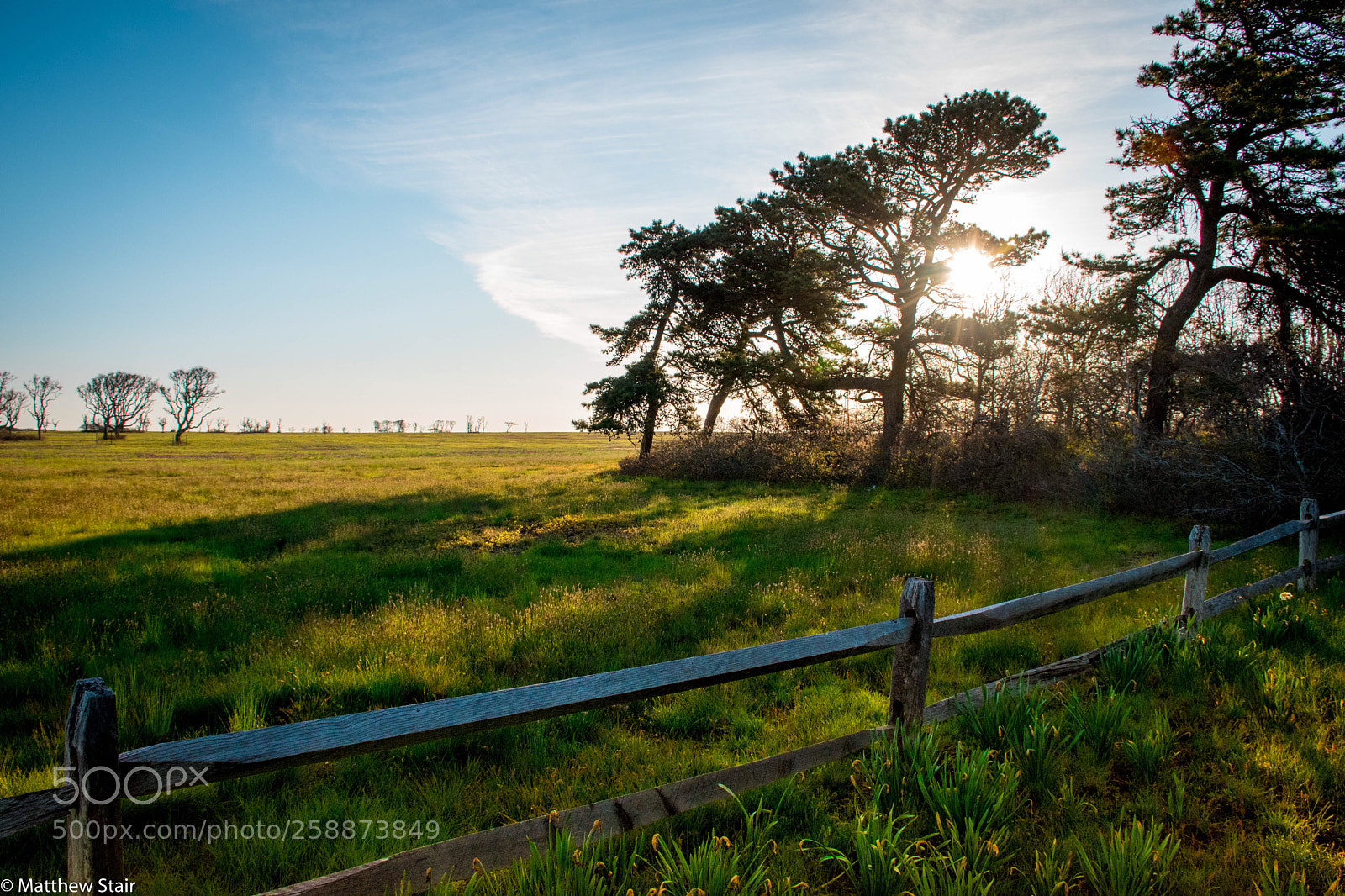 Nikon D5600 sample photo. Nantucket morning photography