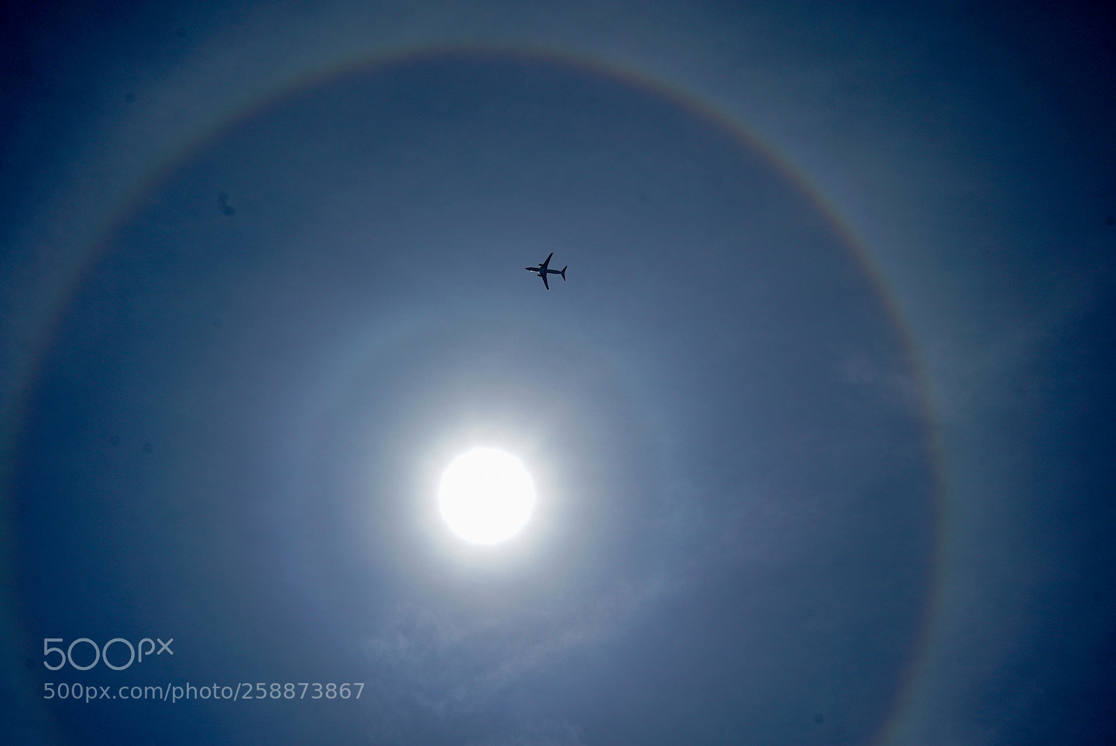 Sony a7S sample photo. Fly photography