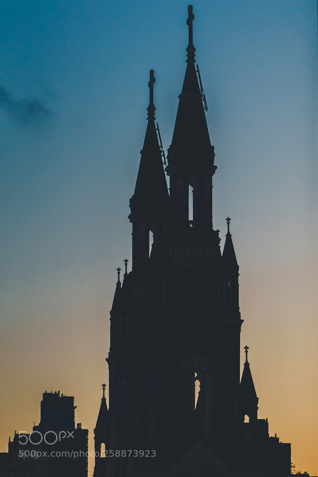 Sony a7 III sample photo. Blue and gold photography
