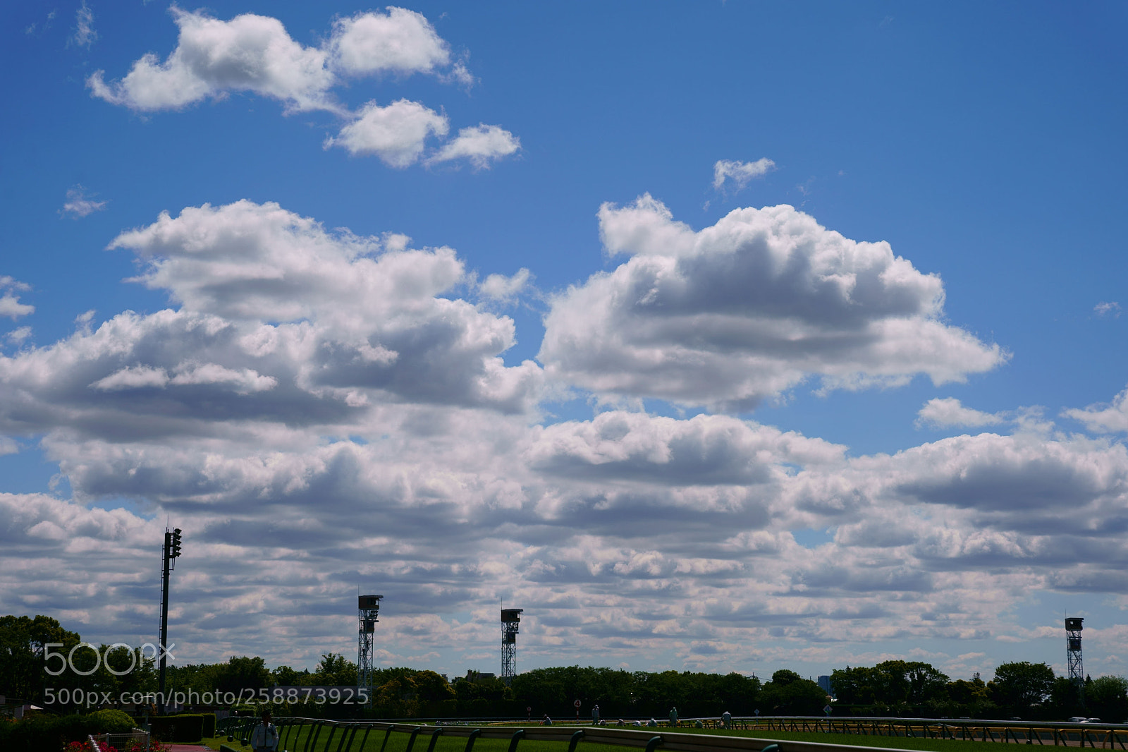 Sony a9 sample photo. Tokyo race course photography