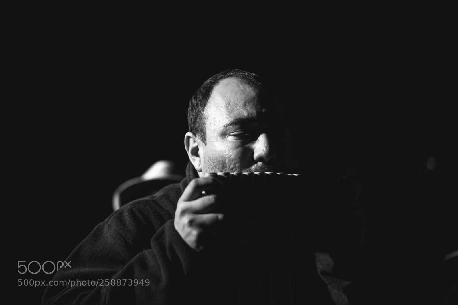 Sony a7 sample photo. La peste, gran farra photography