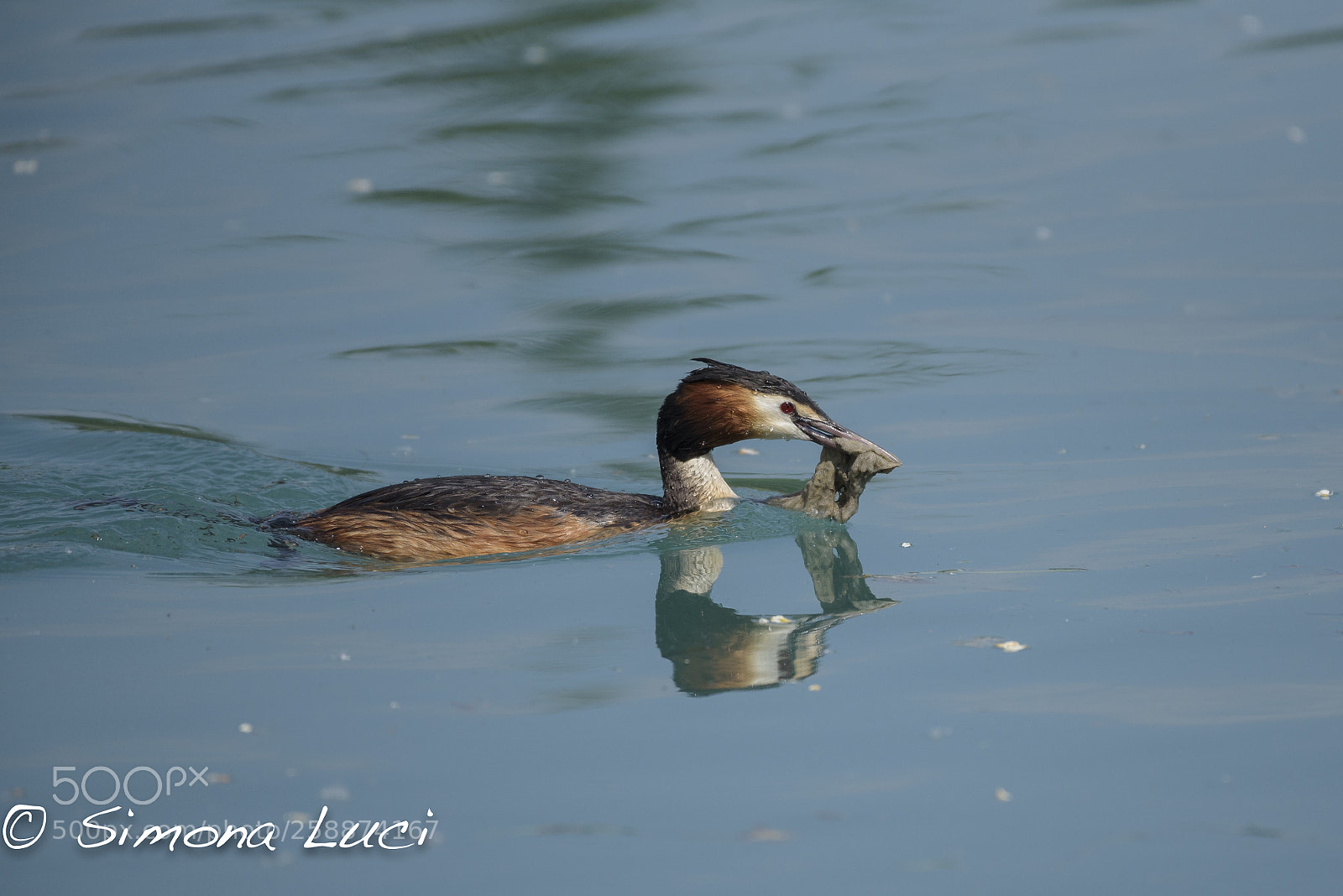 Nikon D750 sample photo. 2018-05-07_151939_7921.jpg photography