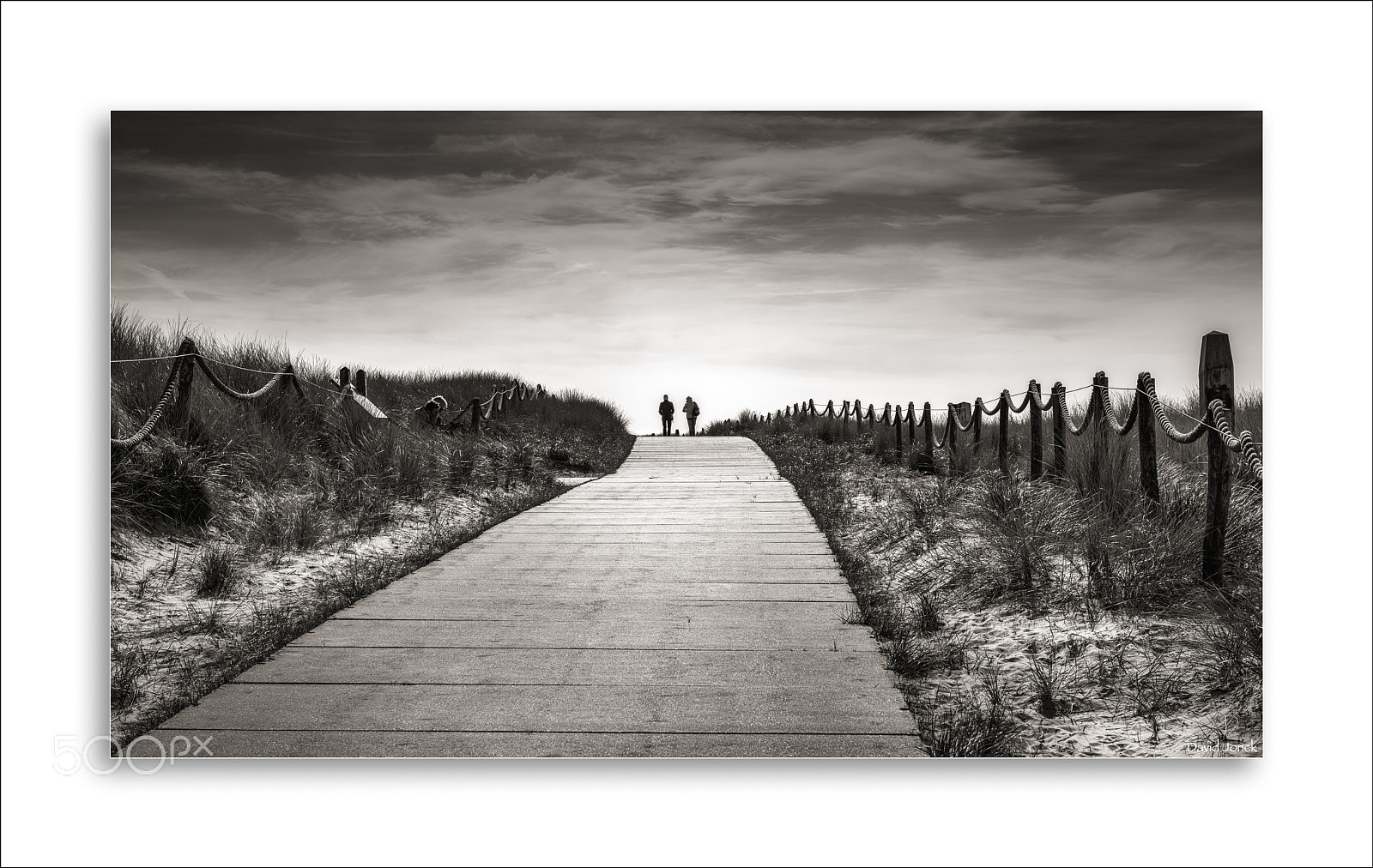 Nikon D750 sample photo. Texel -  de koog photography