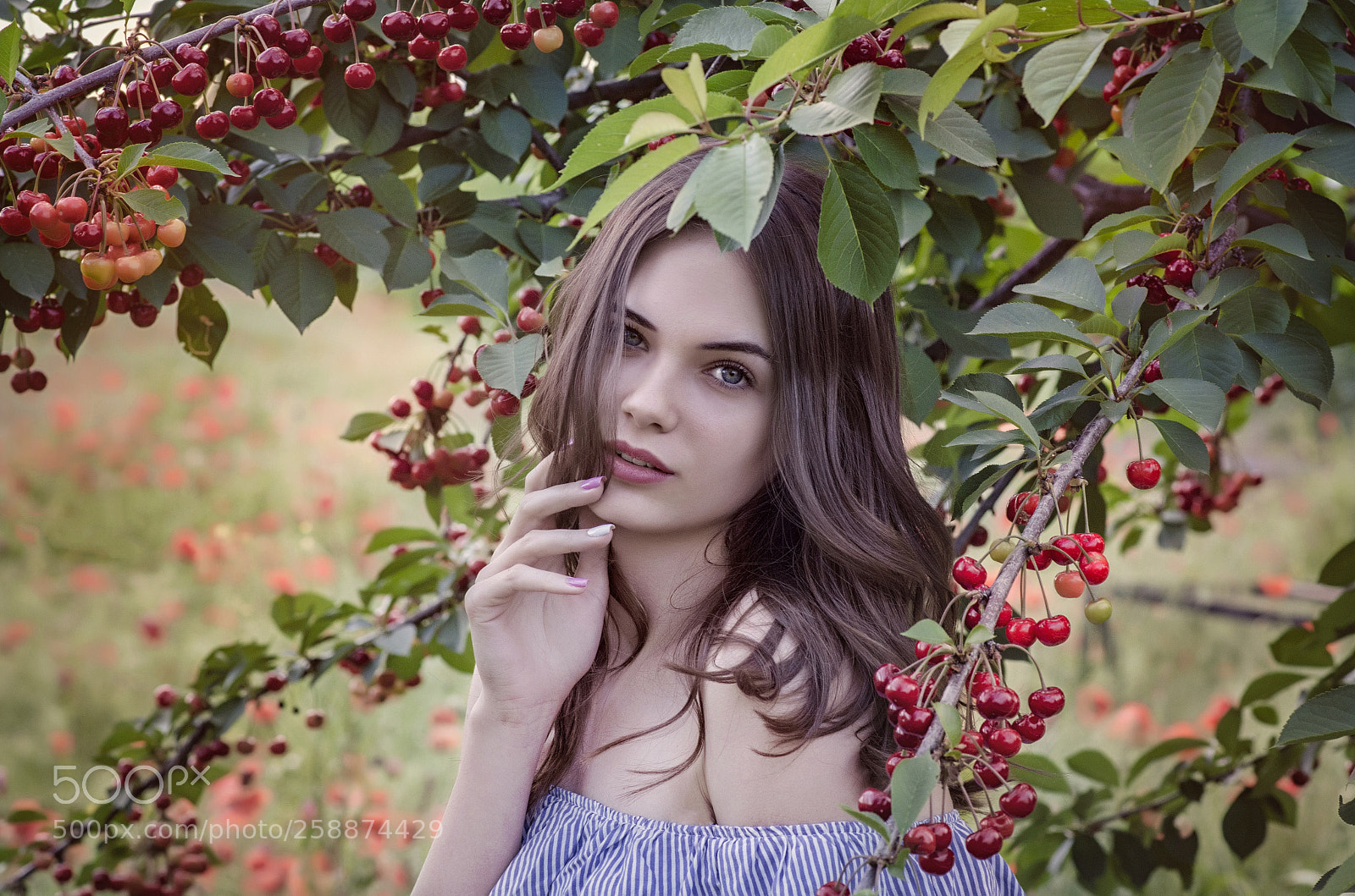 Nikon D7000 sample photo. Cherry photography