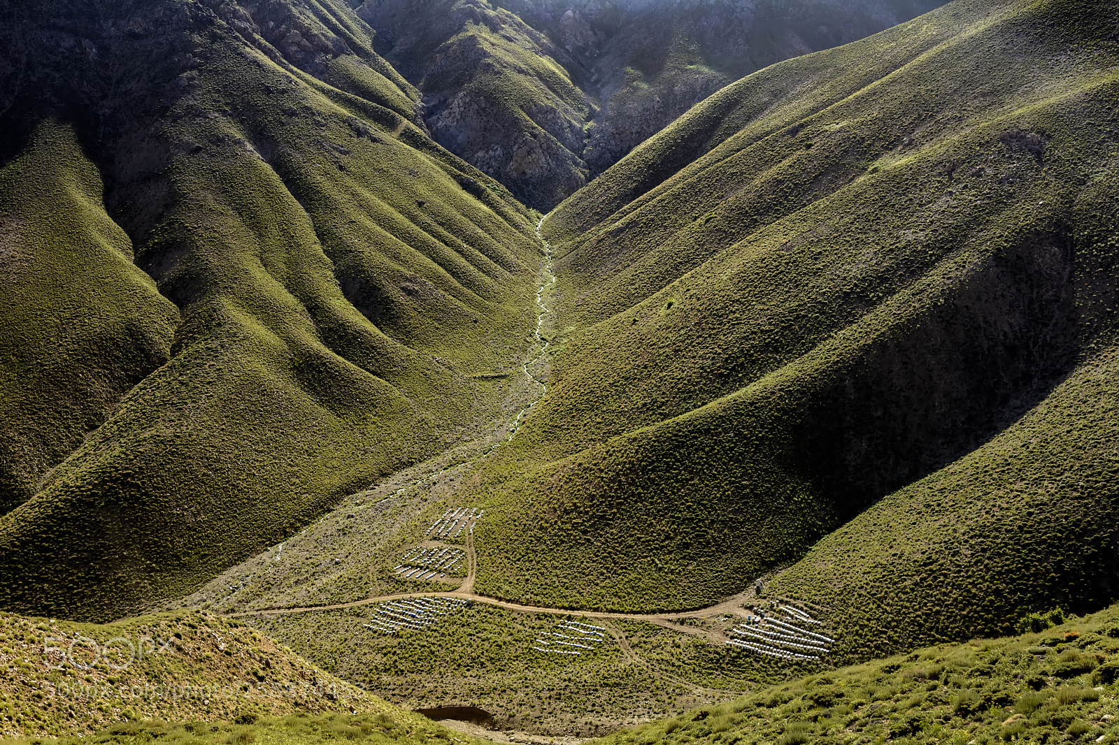 Nikon D7100 sample photo. The green valley  photography