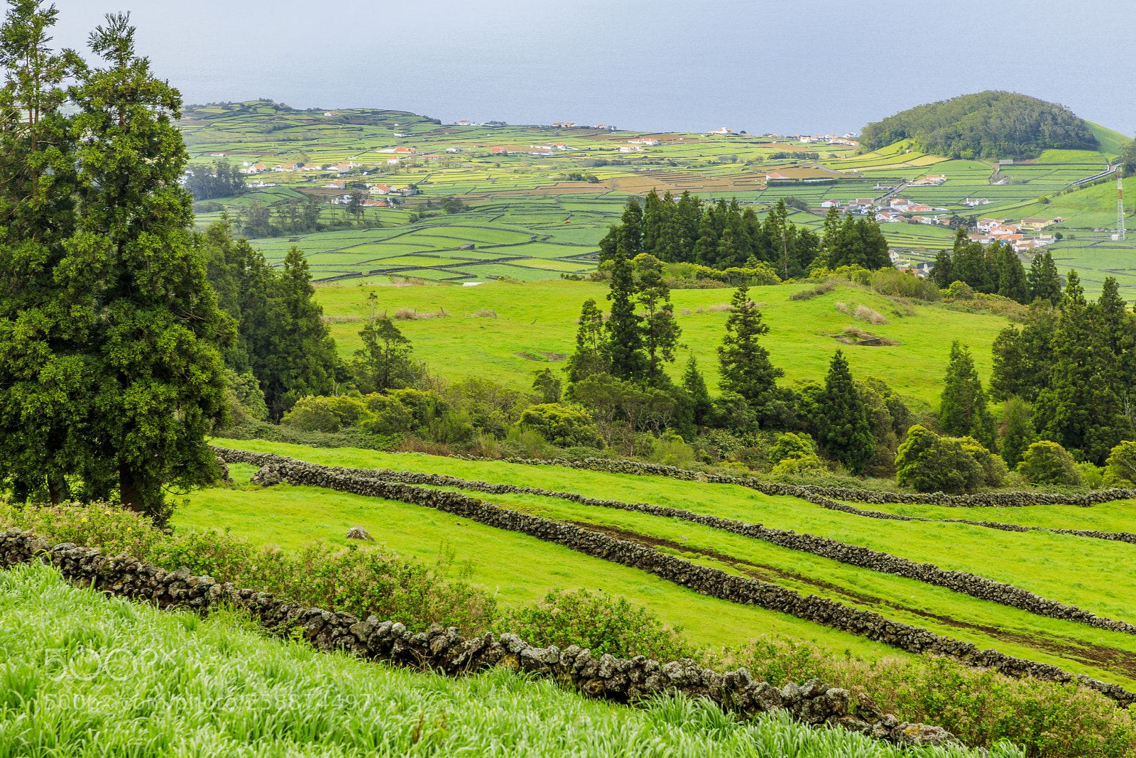 Canon EOS 5D Mark IV sample photo. A ores-terceira-sierra de santa photography