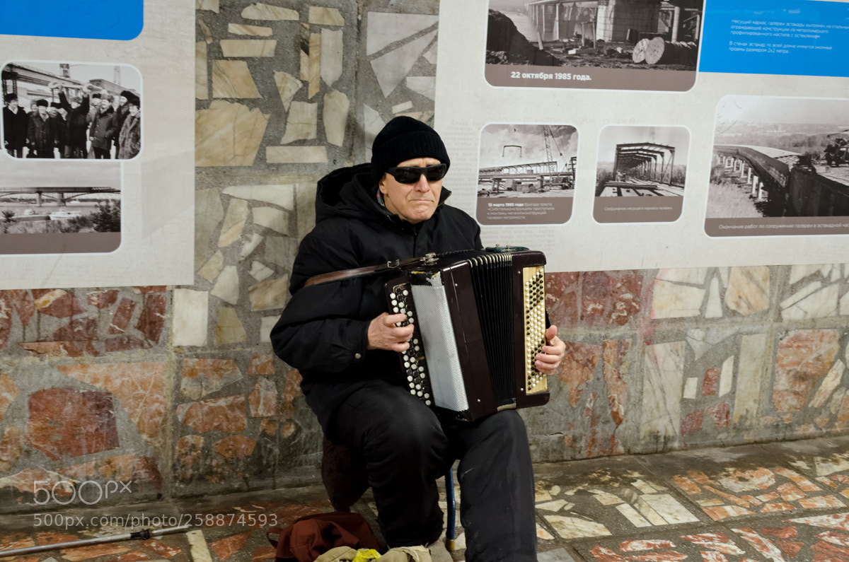 Nikon D7000 sample photo. Гармонист photography