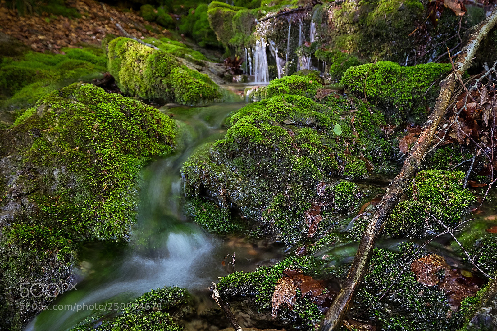 Fujifilm X-T2 sample photo. Moos und wasser photography