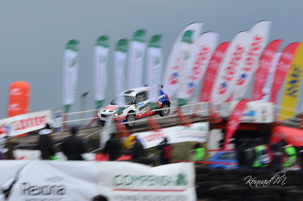 Nikon D5100 sample photo. Fly high photography