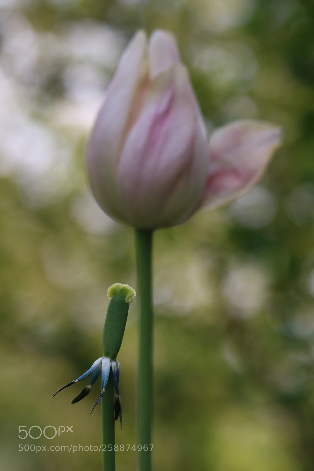 Canon EOS 750D (EOS Rebel T6i / EOS Kiss X8i) sample photo. It’s over  photography