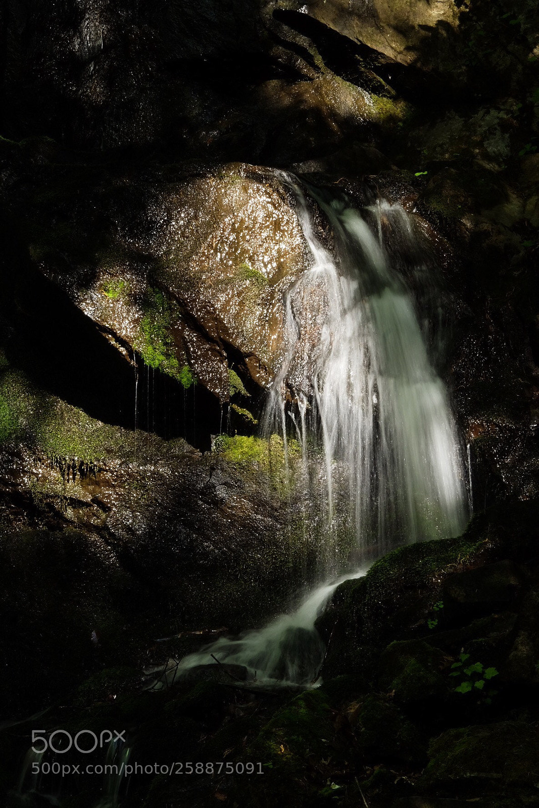 Fujifilm X-T1 sample photo. Spruce flat falls photography