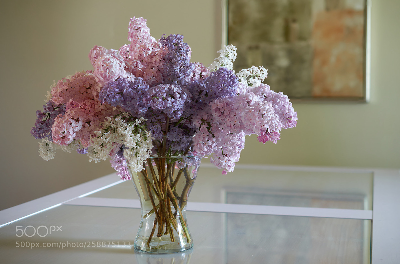 Nikon D5100 sample photo. Alyvos.jpg photography
