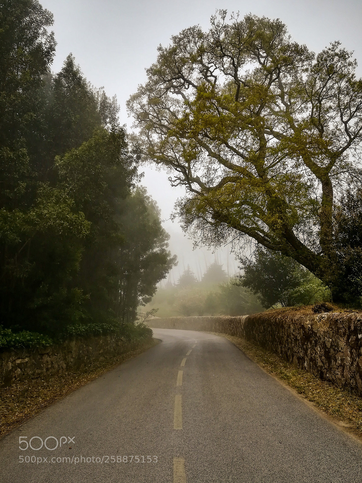 HUAWEI PRA-LX1 sample photo. The road photography