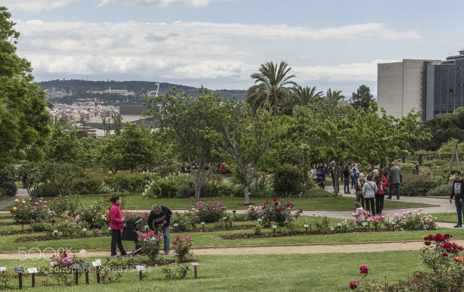 Nikon D7200 sample photo. Parque de cervantes photography