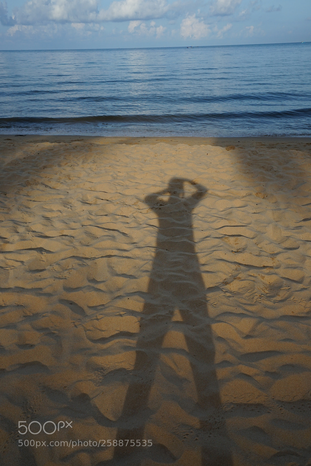 Sony a7 II sample photo. Shadow photography