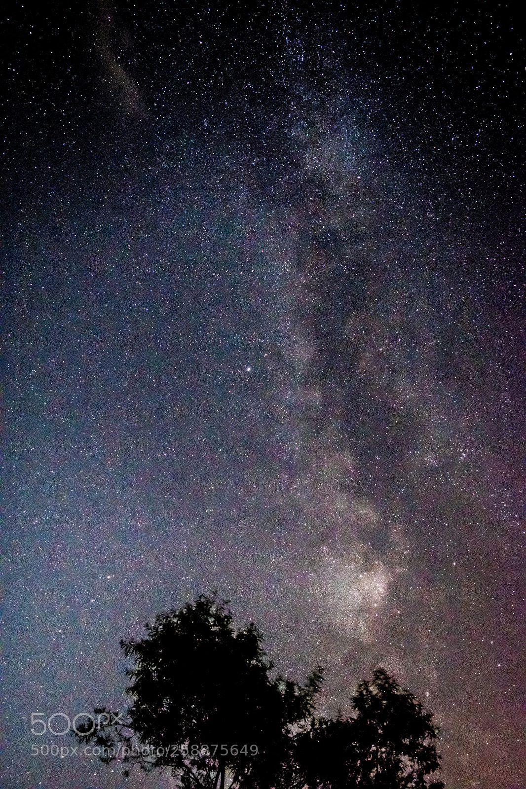 Nikon D3300 sample photo. Trying to get better photography