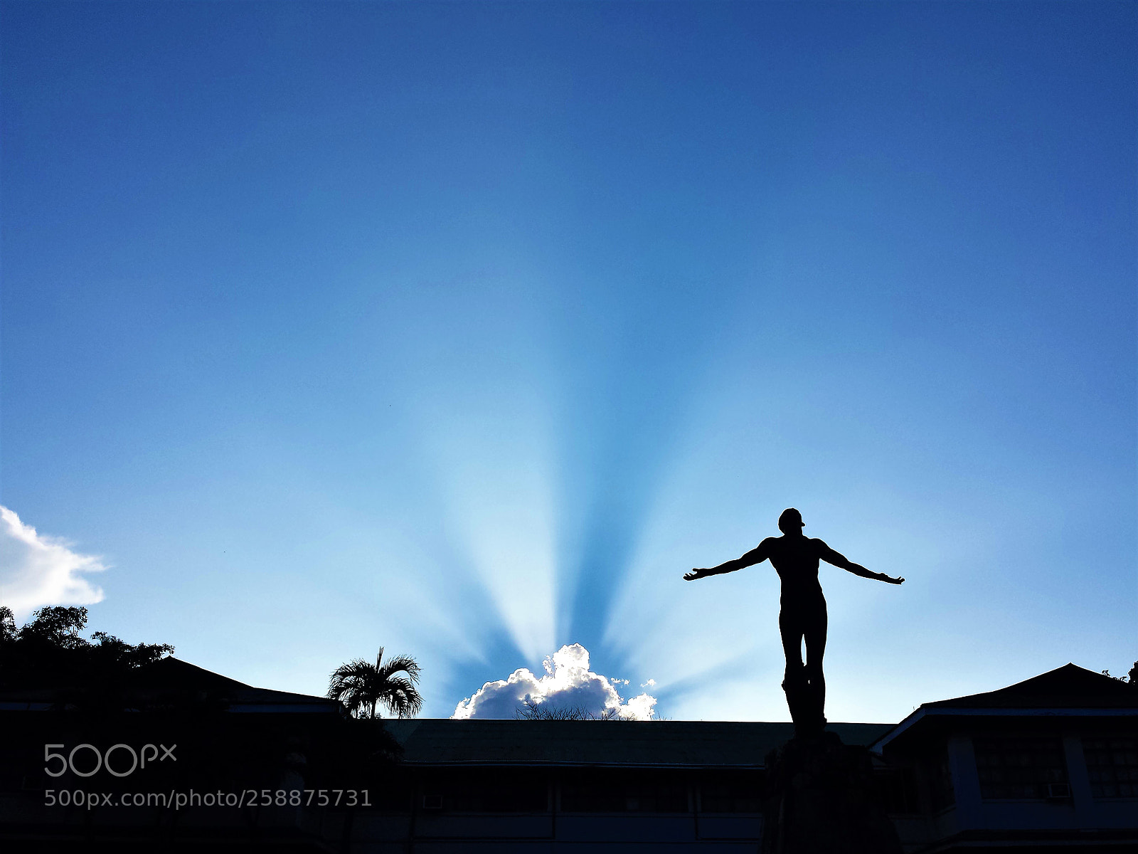 Samsung Galaxy S4 sample photo. Uplb oblation photography