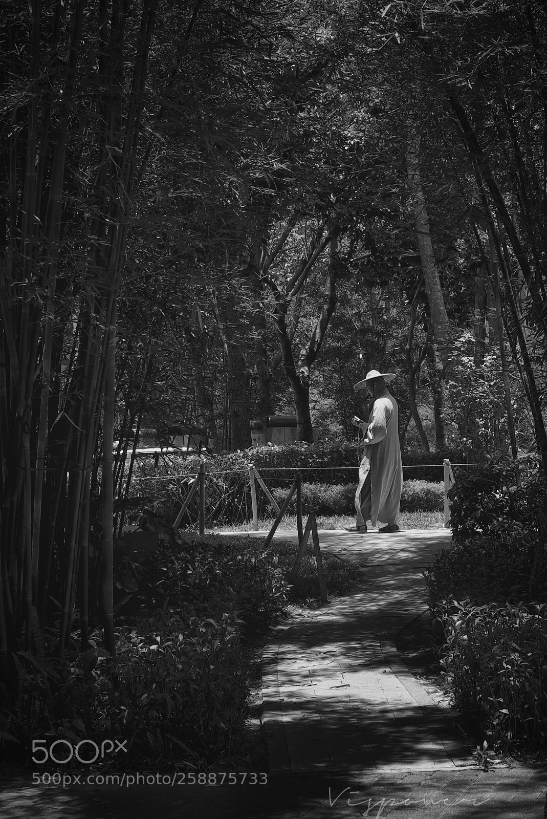 Fujifilm X-T1 sample photo. Untitled photography