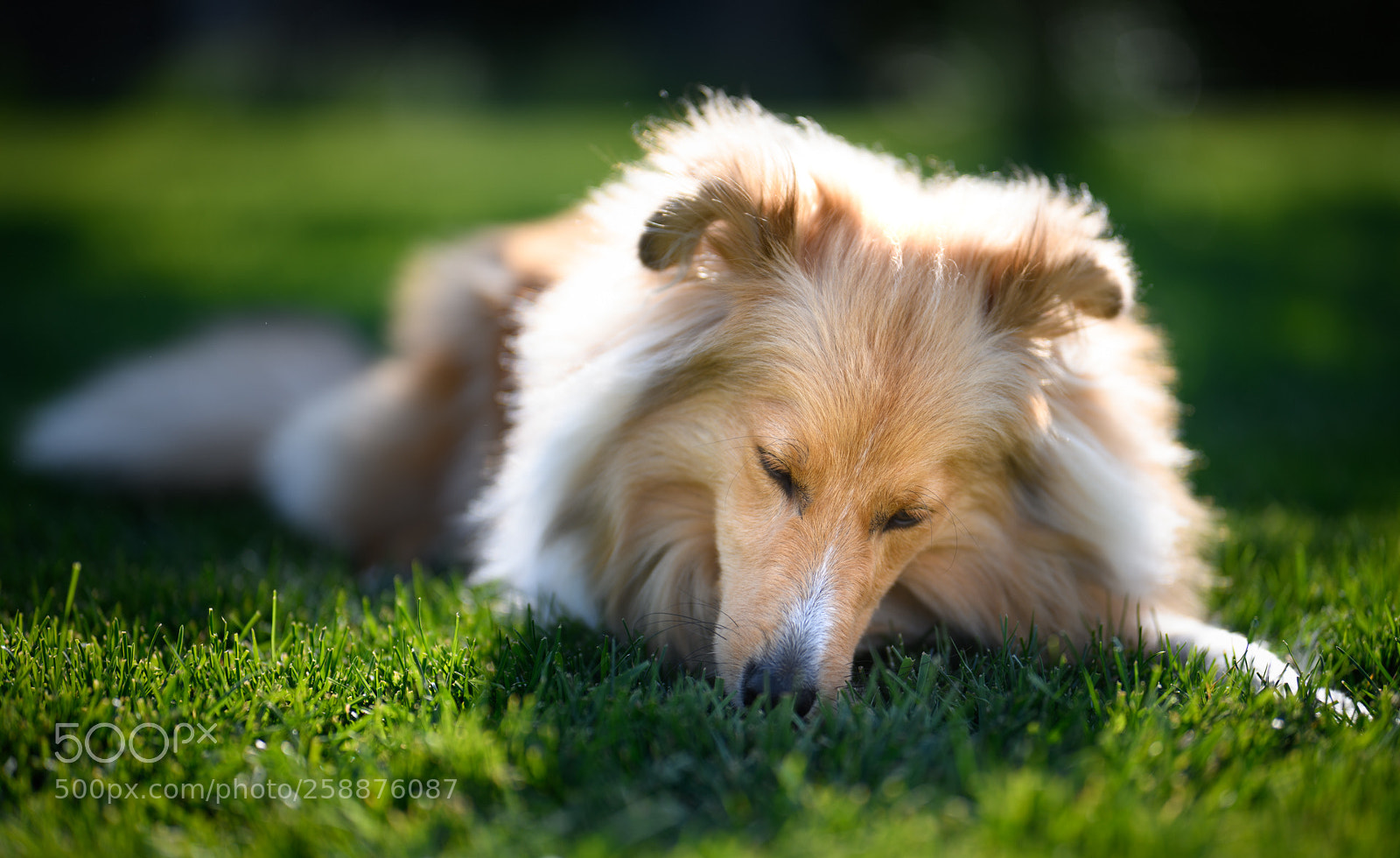 Nikon D850 sample photo. The scent of fresh photography