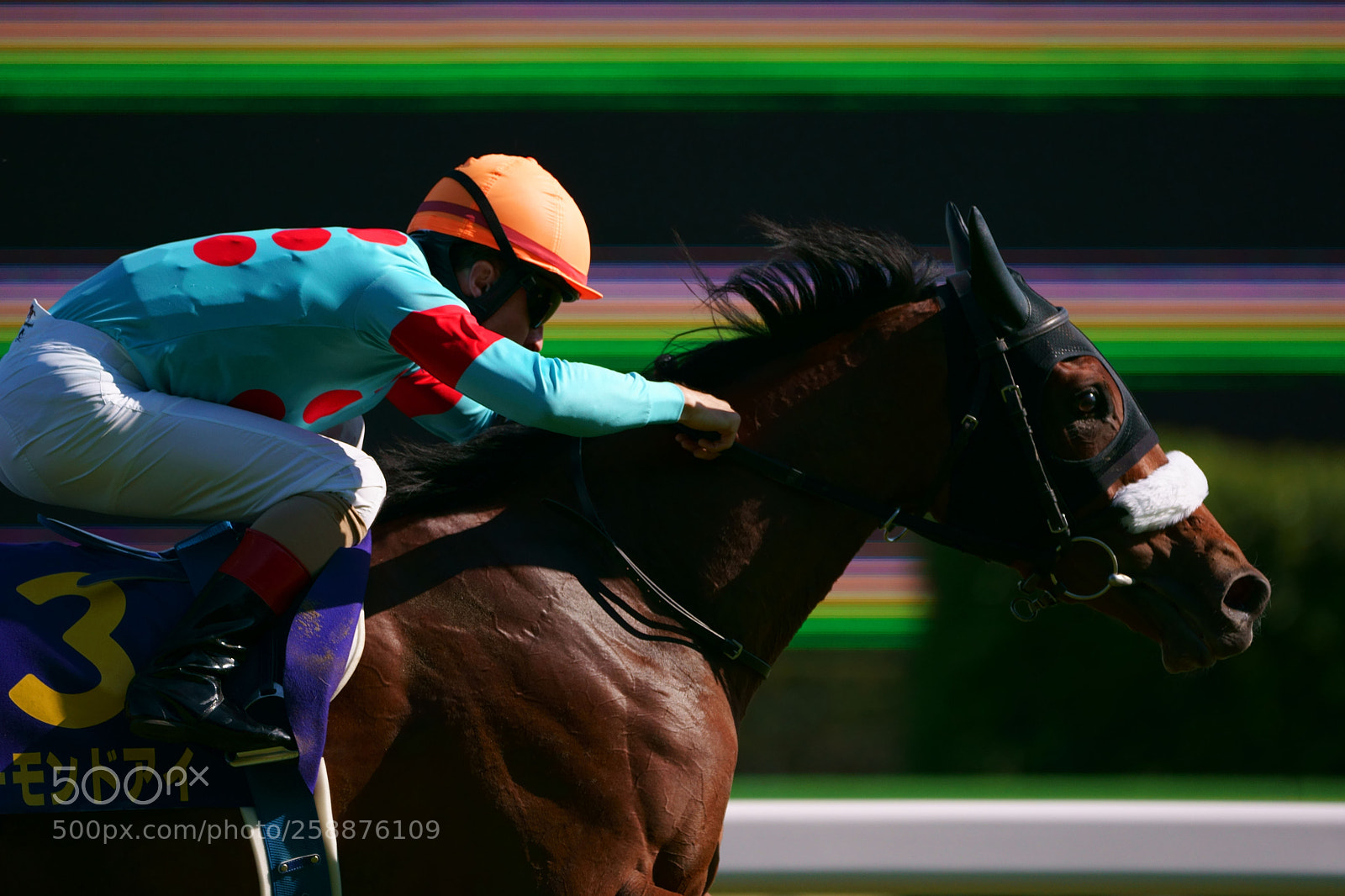 Sony a9 sample photo. Horse race photography
