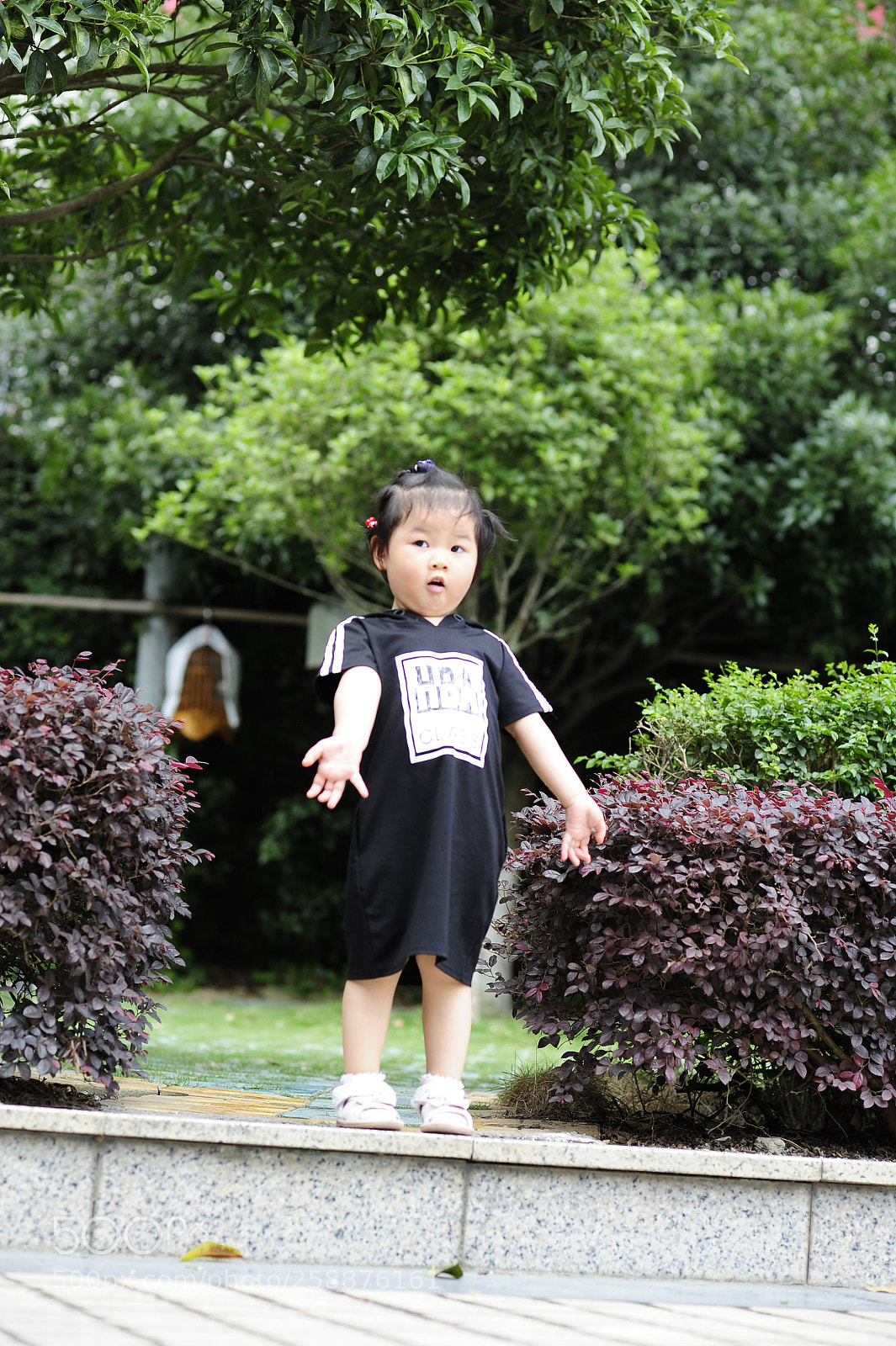 Nikon D700 sample photo. Untitled photography