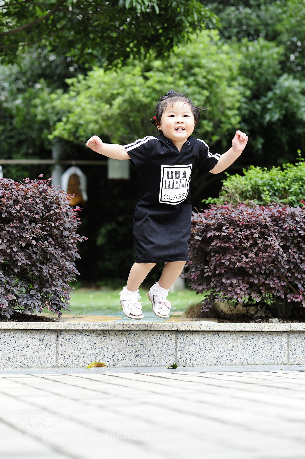 Nikon D700 sample photo. Untitled photography