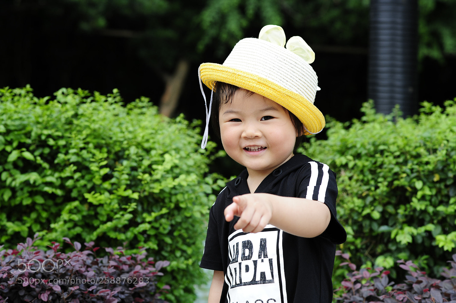 Nikon D700 sample photo. Untitled photography