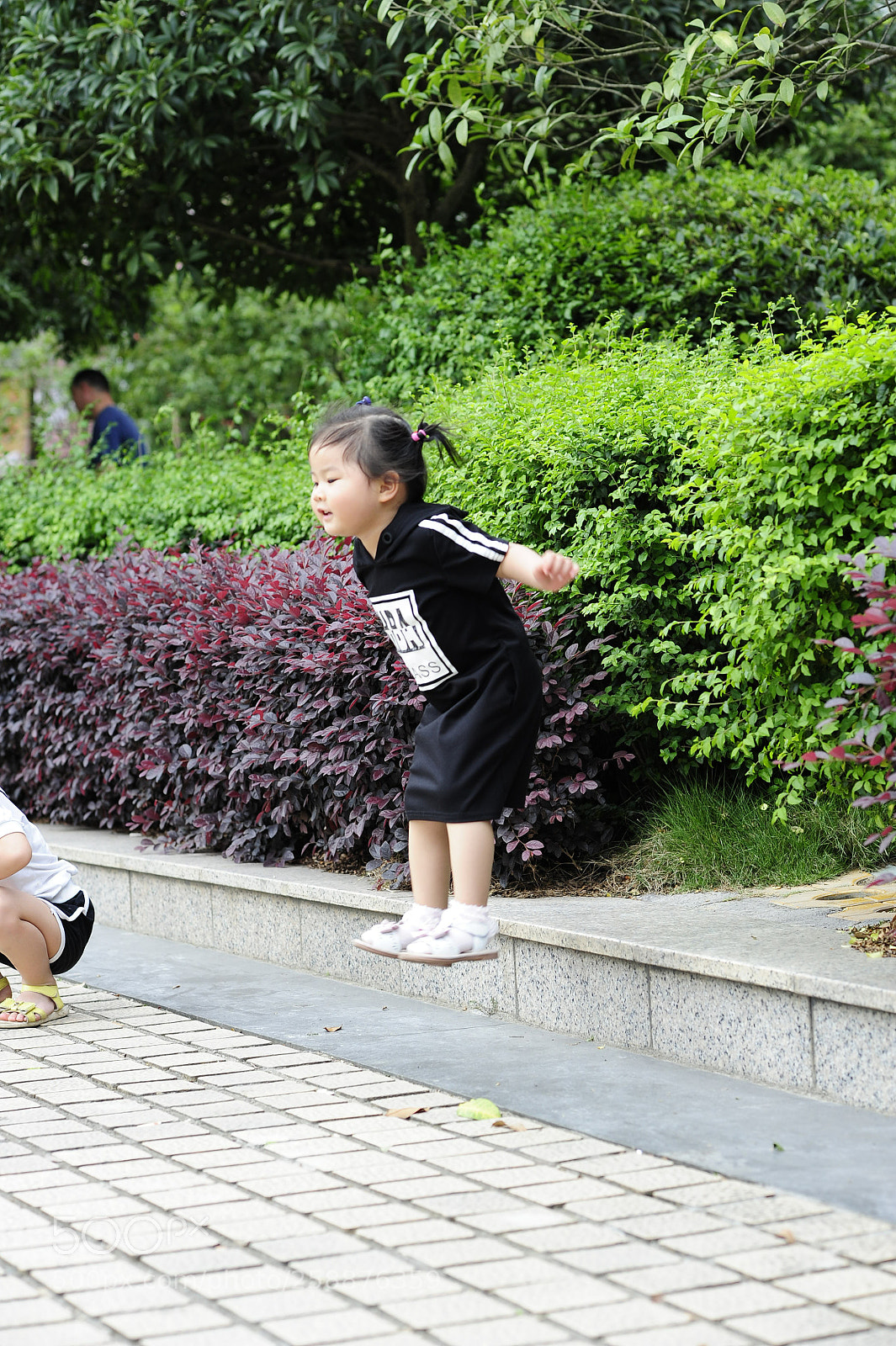 Nikon D700 sample photo. Untitled photography