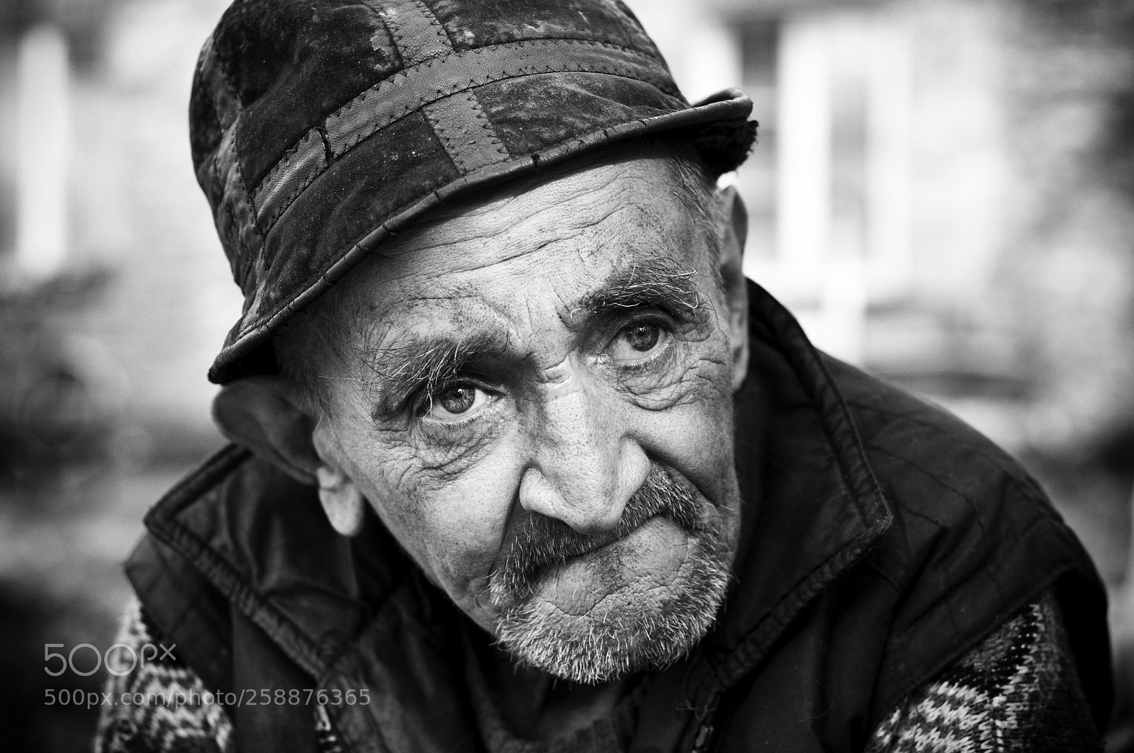 Nikon D300 sample photo. Untitled photography