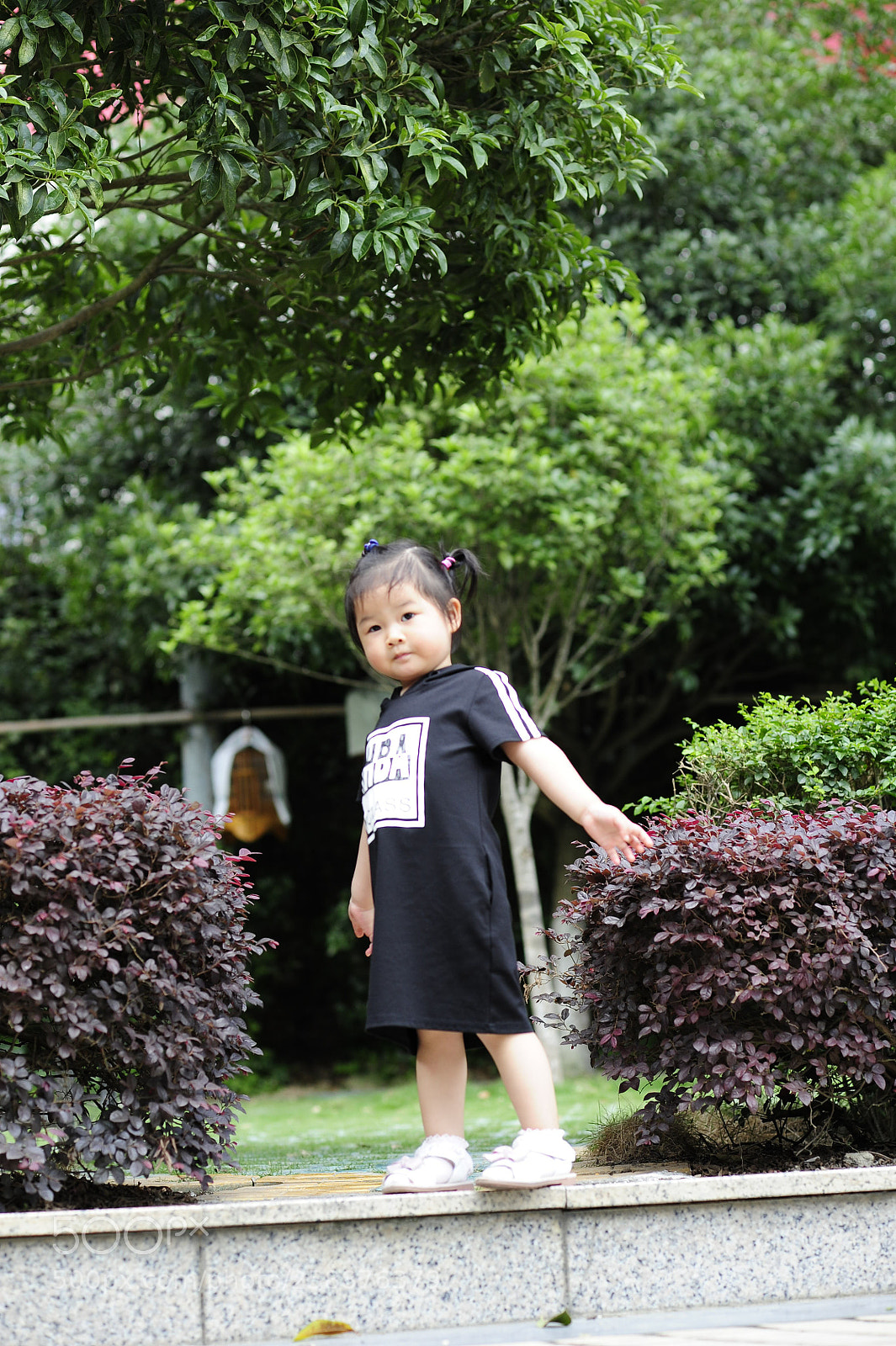 Nikon D700 sample photo. Untitled photography