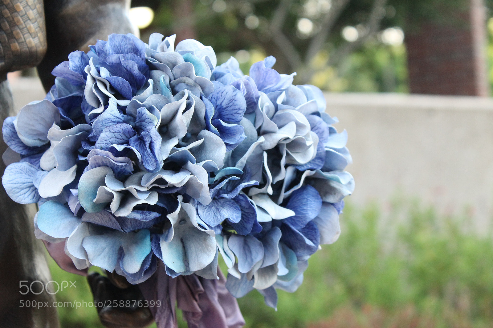 Canon EOS 1100D (EOS Rebel T3 / EOS Kiss X50) sample photo. Img photography