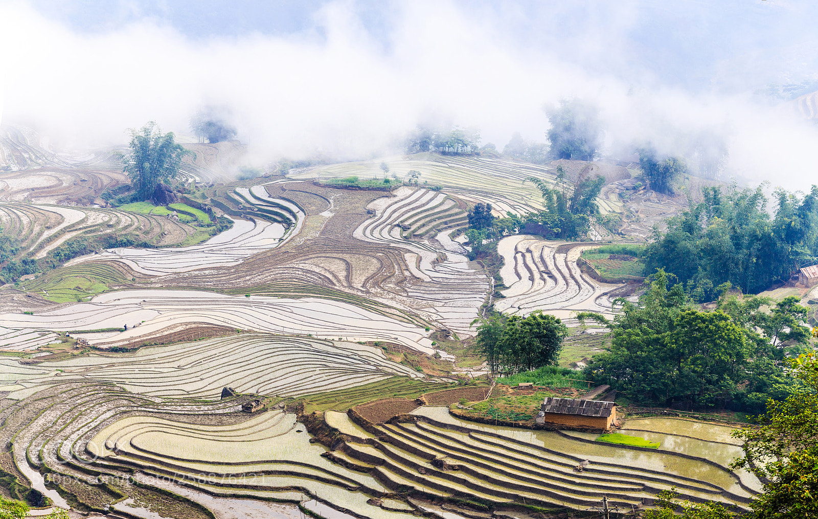Canon EOS 6D sample photo. Beautiful field prepared for photography