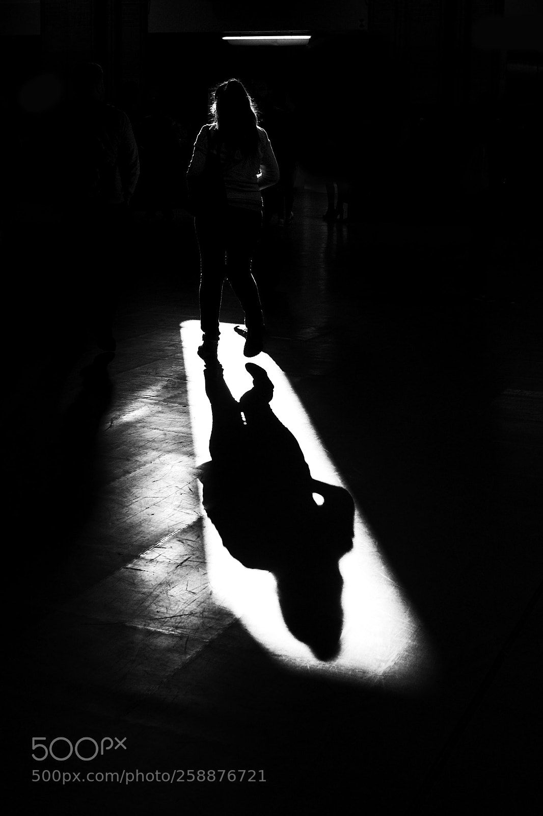 Canon EOS 5D Mark II sample photo. Amsterdam shadow photography