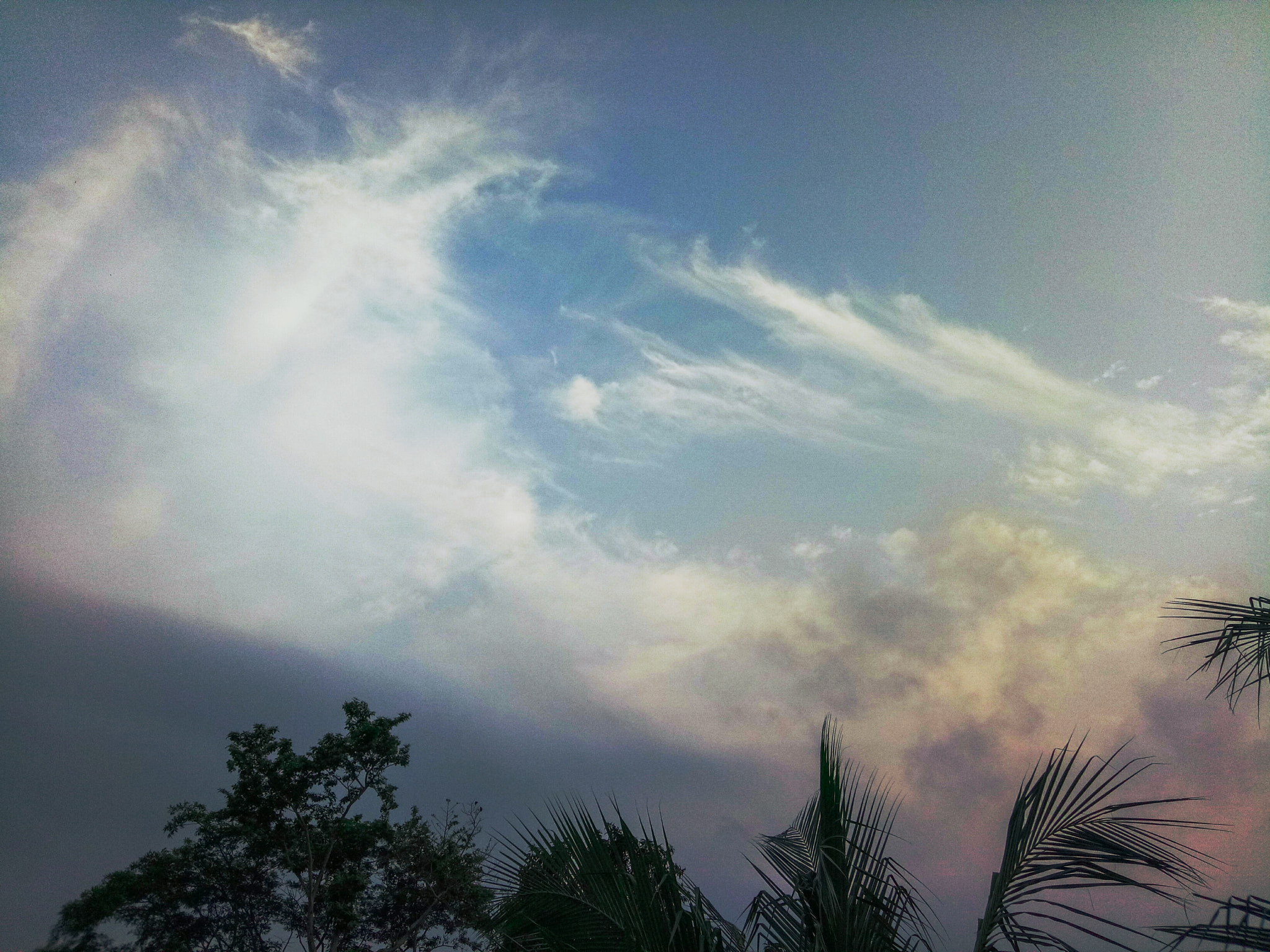 OPPO A1601 sample photo