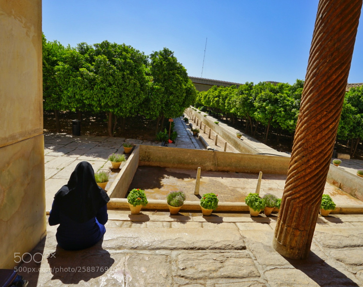 Sony a7 II sample photo. Iranian girl and garden photography