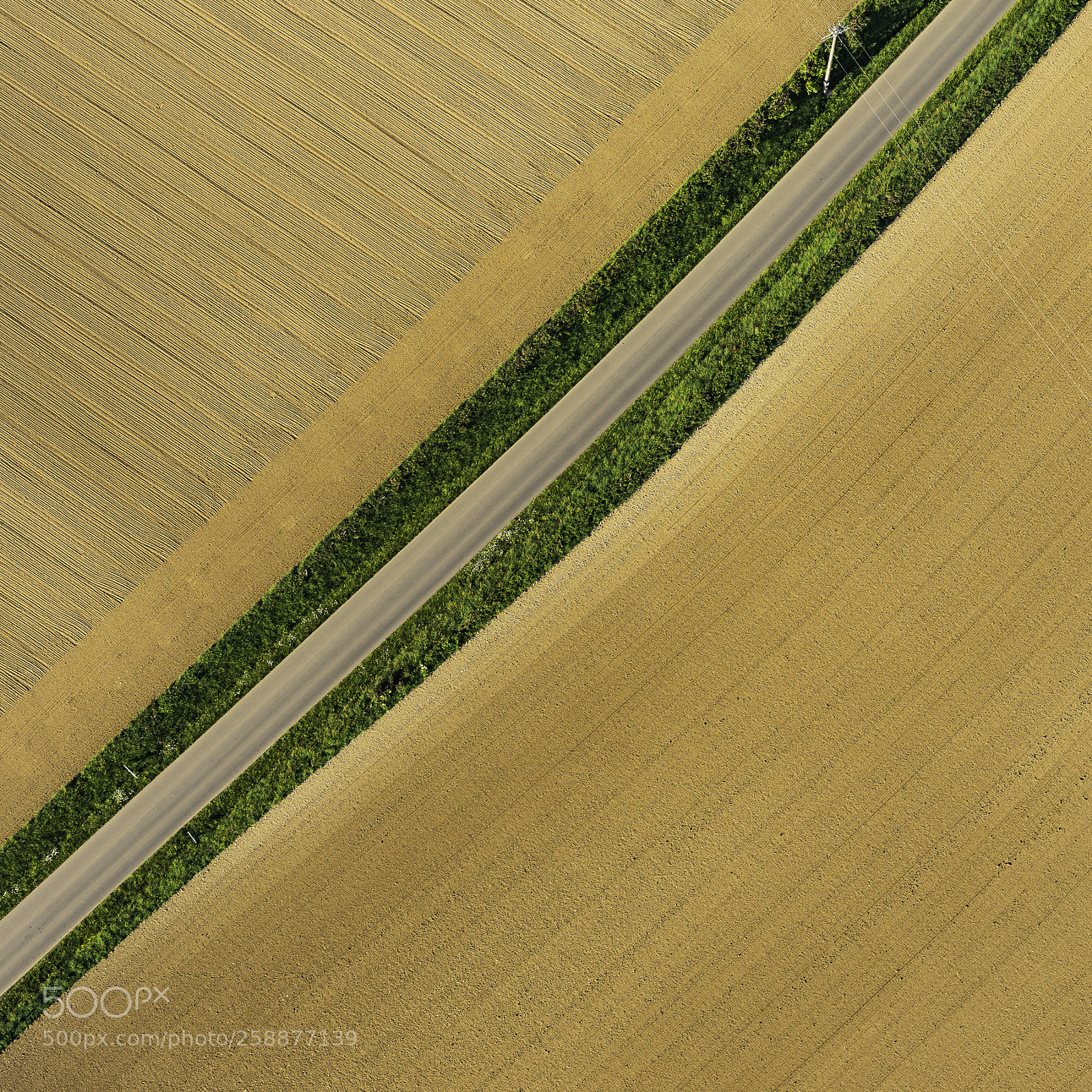 Sony a7 sample photo. Road and fields photography