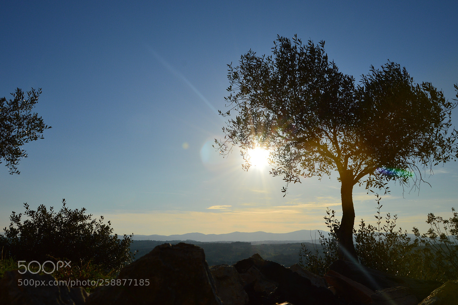 Nikon D3200 sample photo. Natural view photography