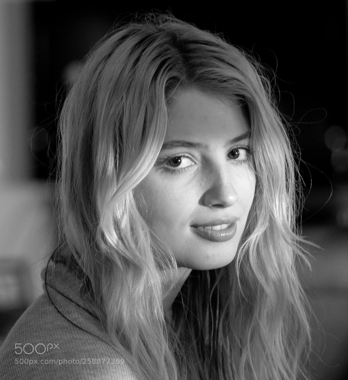Nikon D7500 sample photo. Sydney2 photography