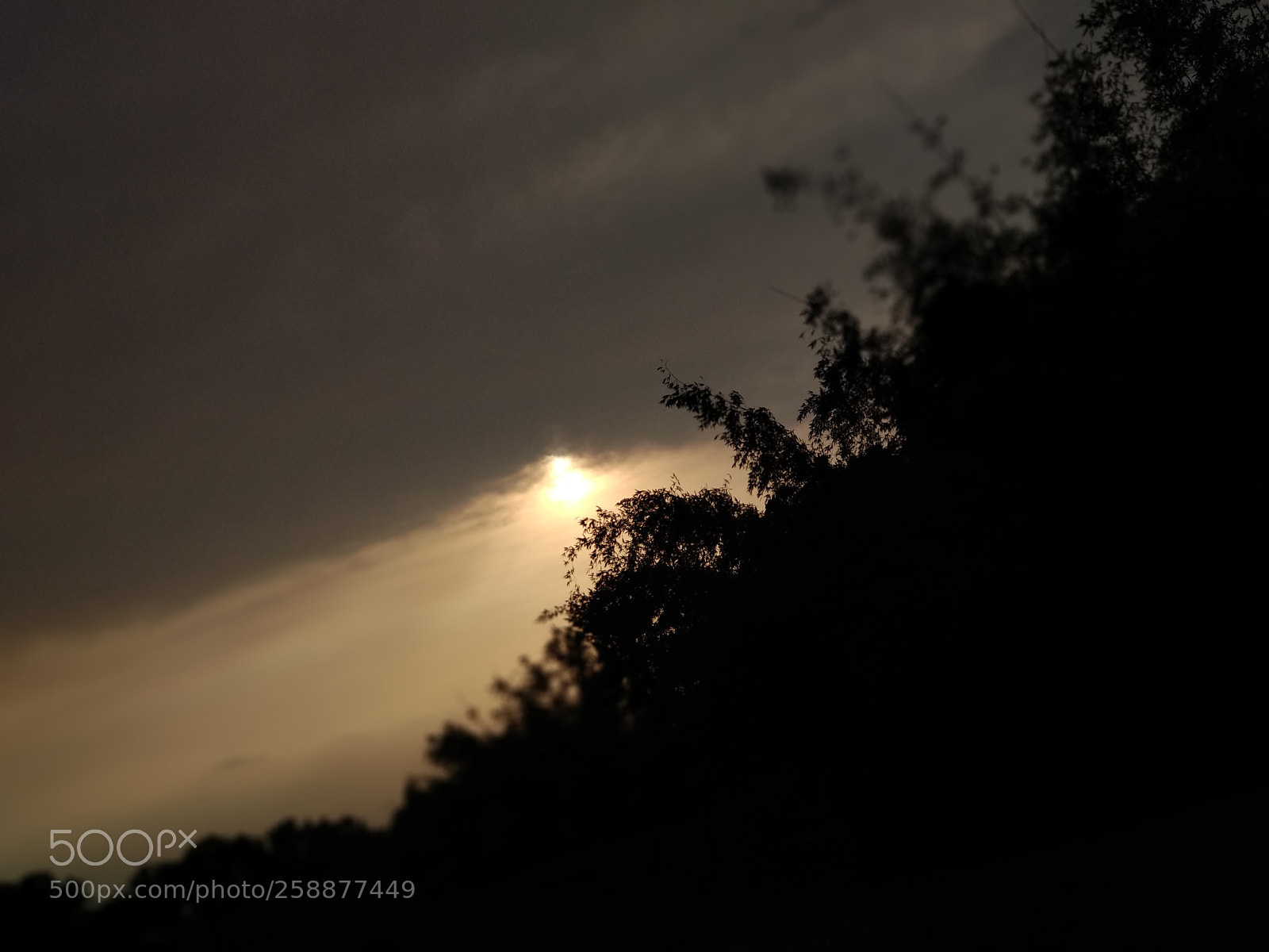 Xiaomi Mi A1 sample photo. Img_20180502_173723.jpg photography