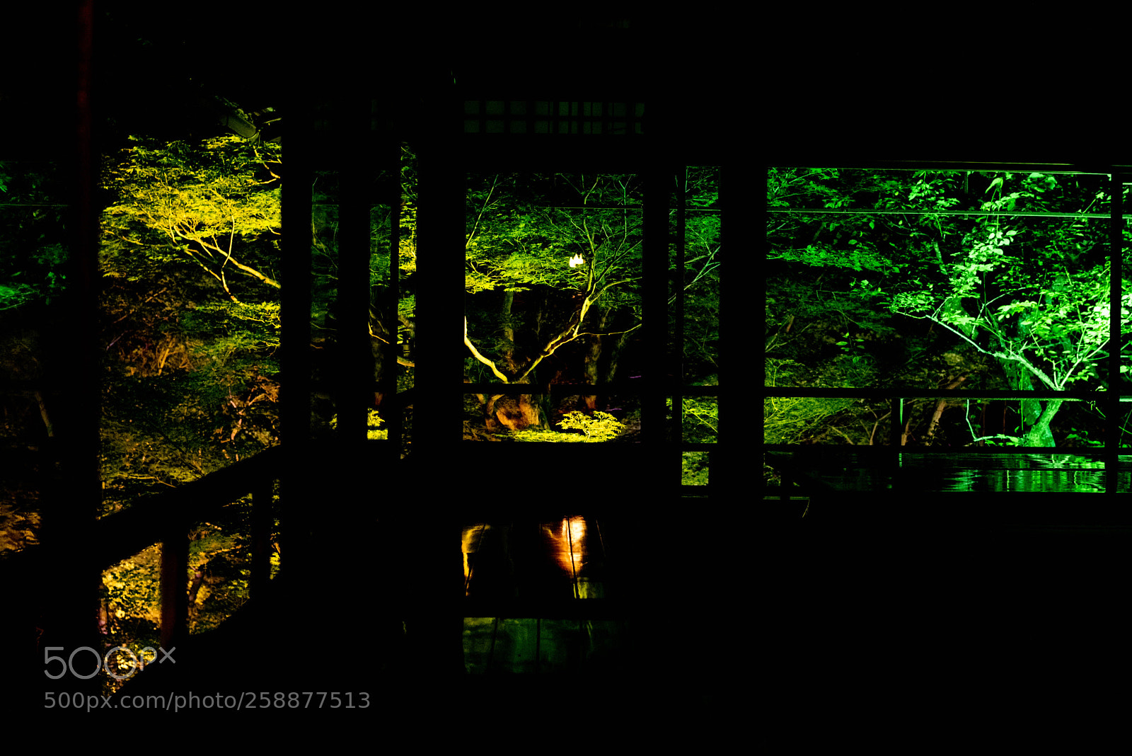 Nikon D810 sample photo. Kyoto_20180520_01 photography