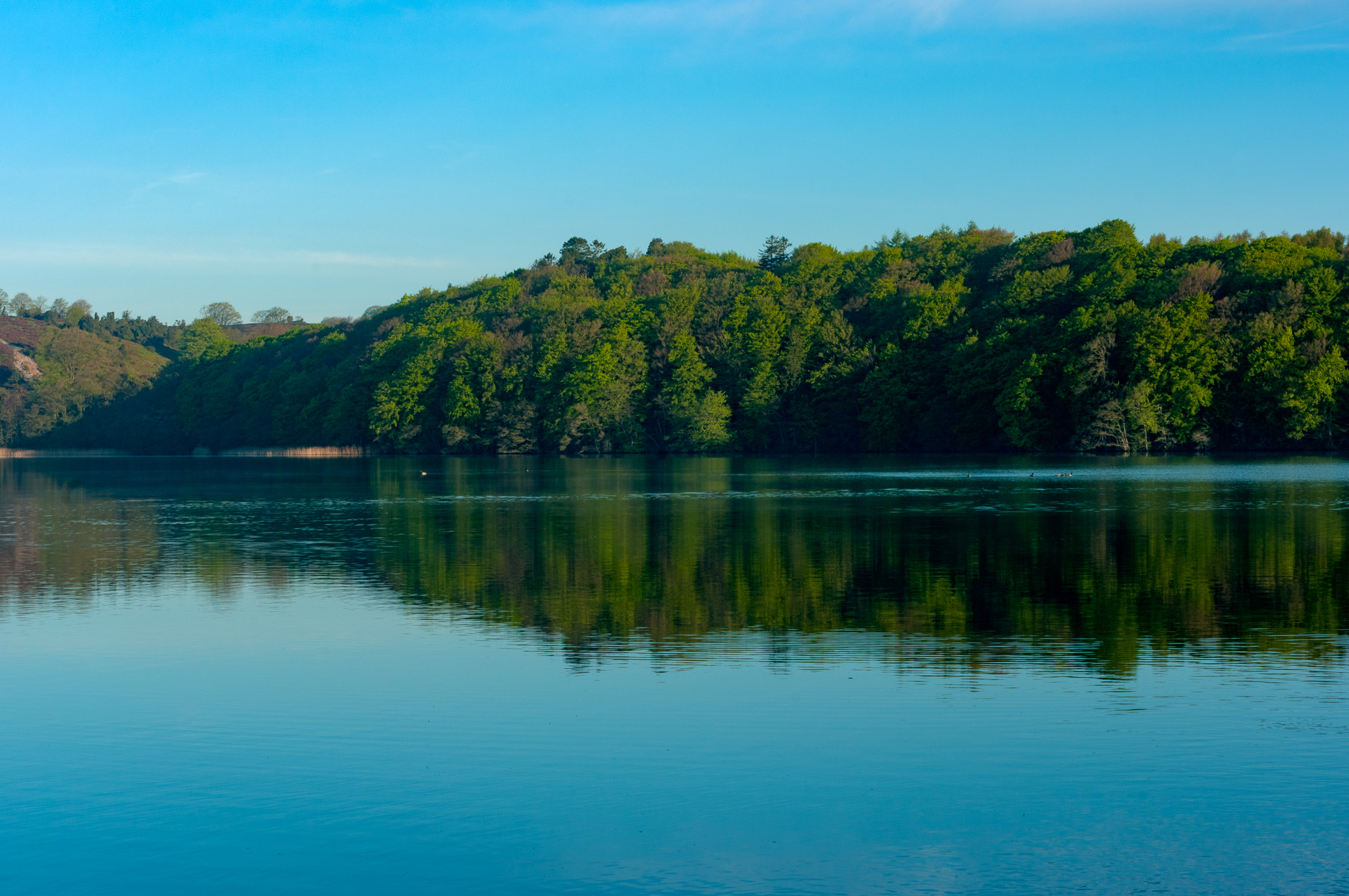 Pentax K20D sample photo. Morning view of hald sø photography